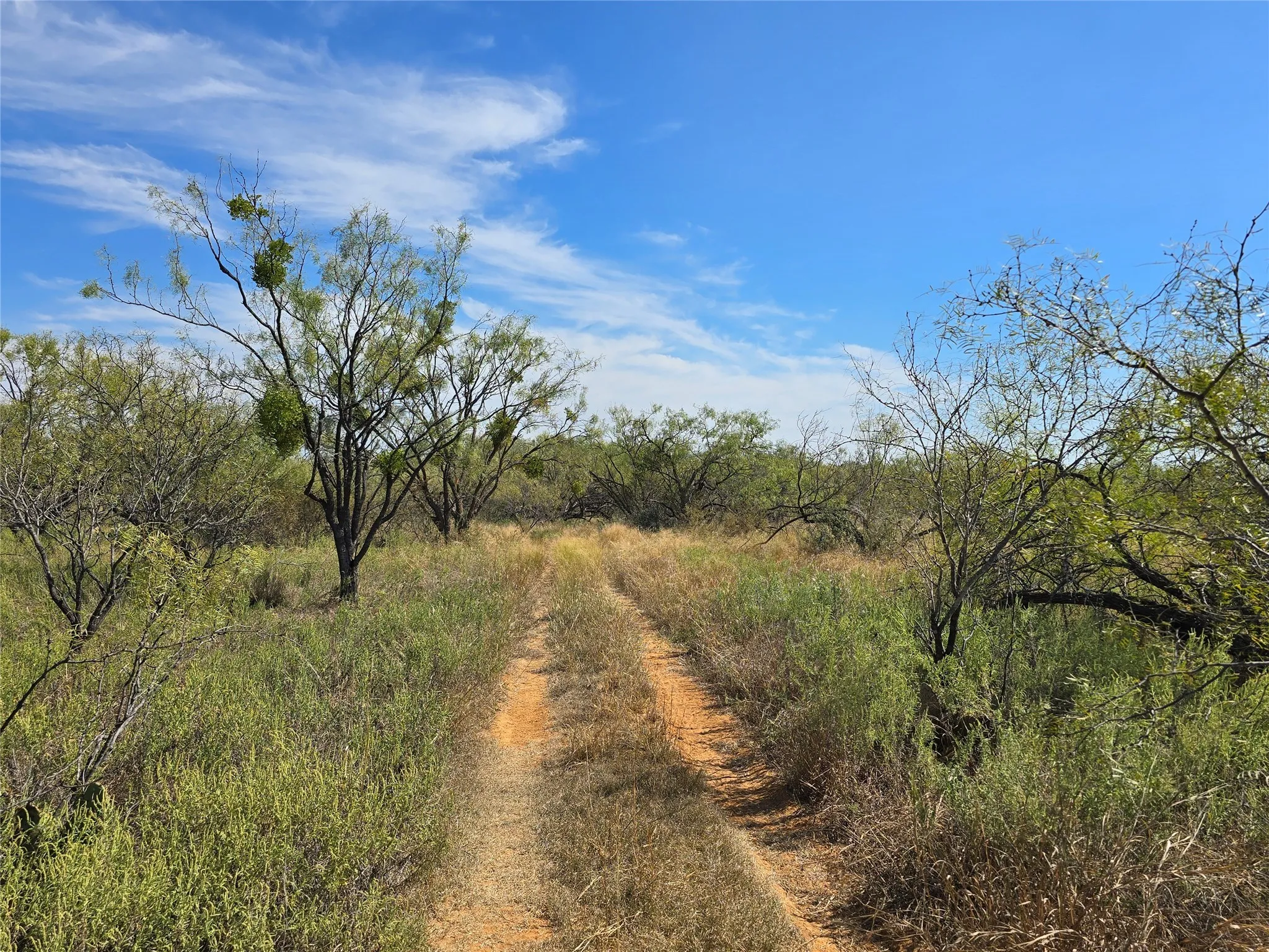 Ranch For Sale in San Saba County , 5780 County Road 266, Rochelle, Texas 76872, 0, 0, Garage spaces, 0 Sqft, built in 0, mls#21131574, Real Estate Agent in Rochelle, Homes For Sale in San Saba county, Homes For Sale in Rochelle, Realtor in Rochelle Texas, Real Estate Brokerage Independent Realty Texas, Luminita Cordes Realtor