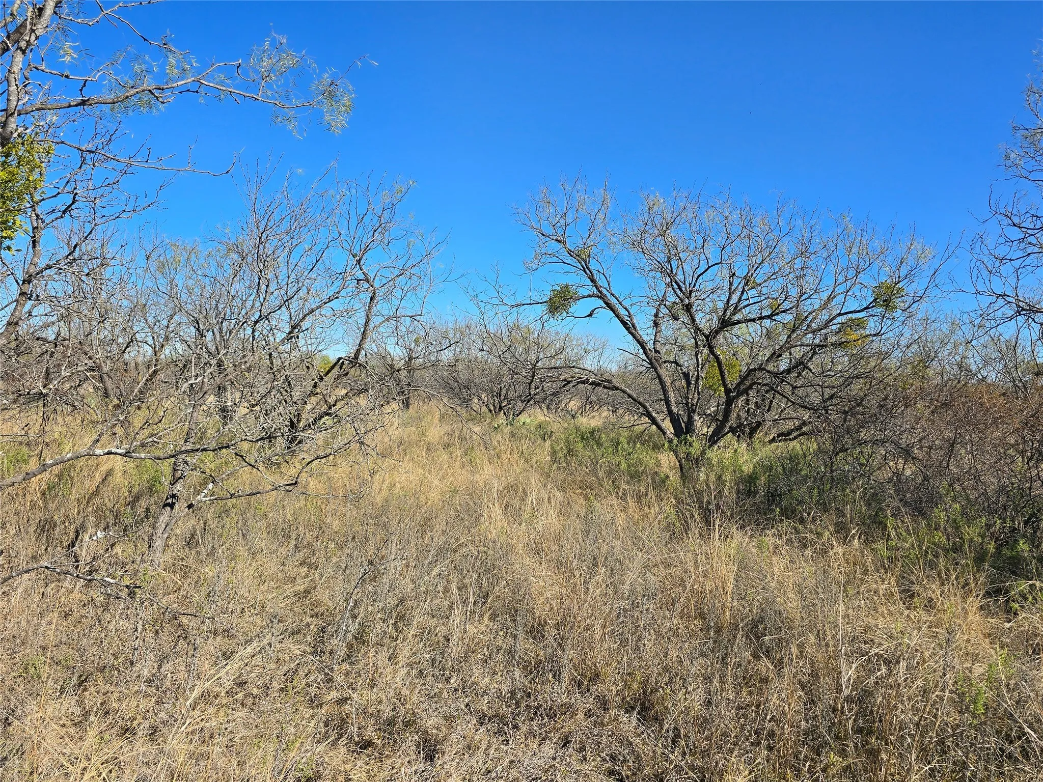 Ranch For Sale in San Saba County , 5780 County Road 266, Rochelle, Texas 76872, 0, 0, Garage spaces, 0 Sqft, built in 0, mls#21131574, Real Estate Agent in Rochelle, Homes For Sale in San Saba county, Homes For Sale in Rochelle, Realtor in Rochelle Texas, Real Estate Brokerage Independent Realty Texas, Luminita Cordes Realtor