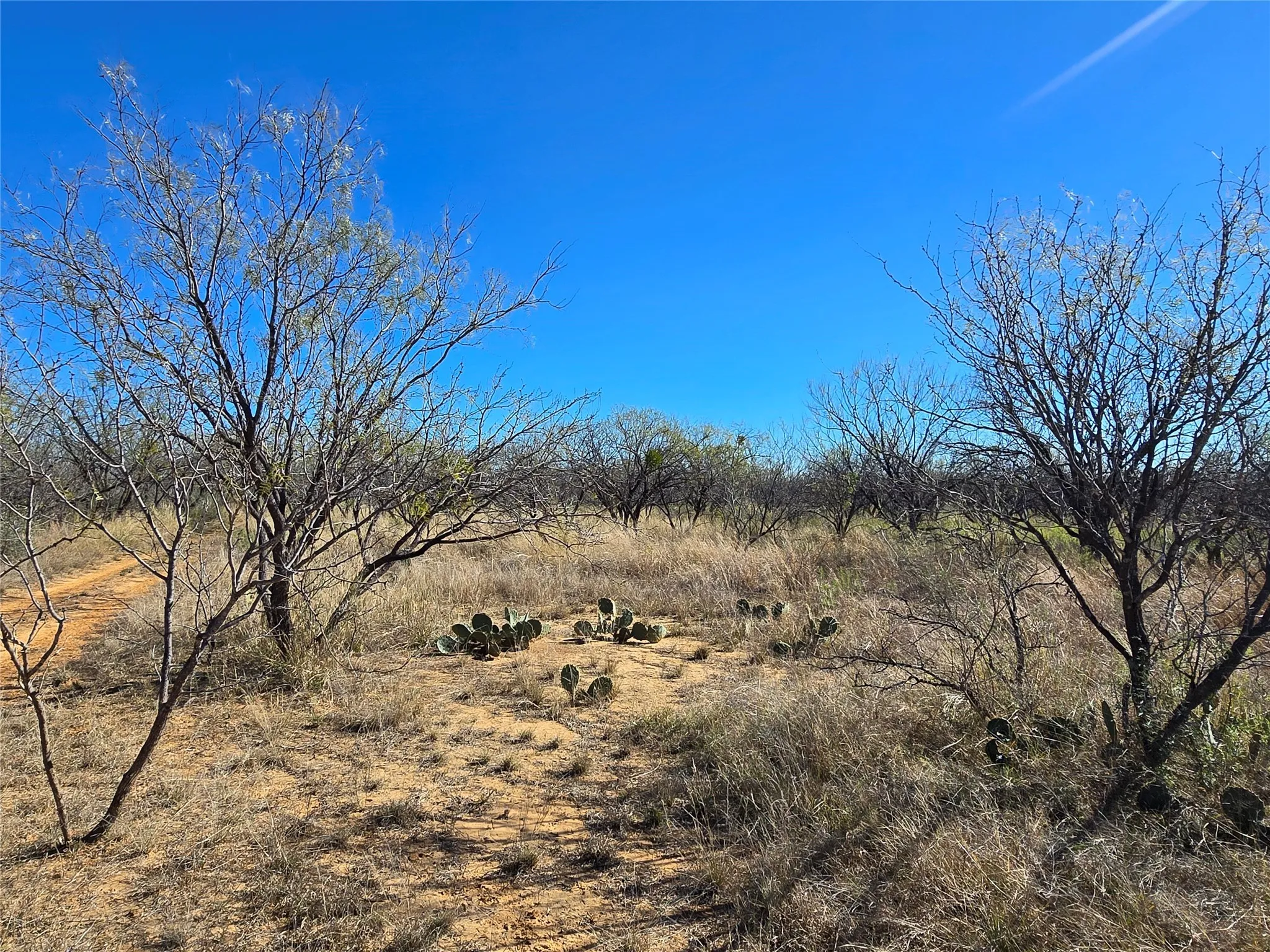 Ranch For Sale in San Saba County , 5780 County Road 266, Rochelle, Texas 76872, 0, 0, Garage spaces, 0 Sqft, built in 0, mls#21131574, Real Estate Agent in Rochelle, Homes For Sale in San Saba county, Homes For Sale in Rochelle, Realtor in Rochelle Texas, Real Estate Brokerage Independent Realty Texas, Luminita Cordes Realtor