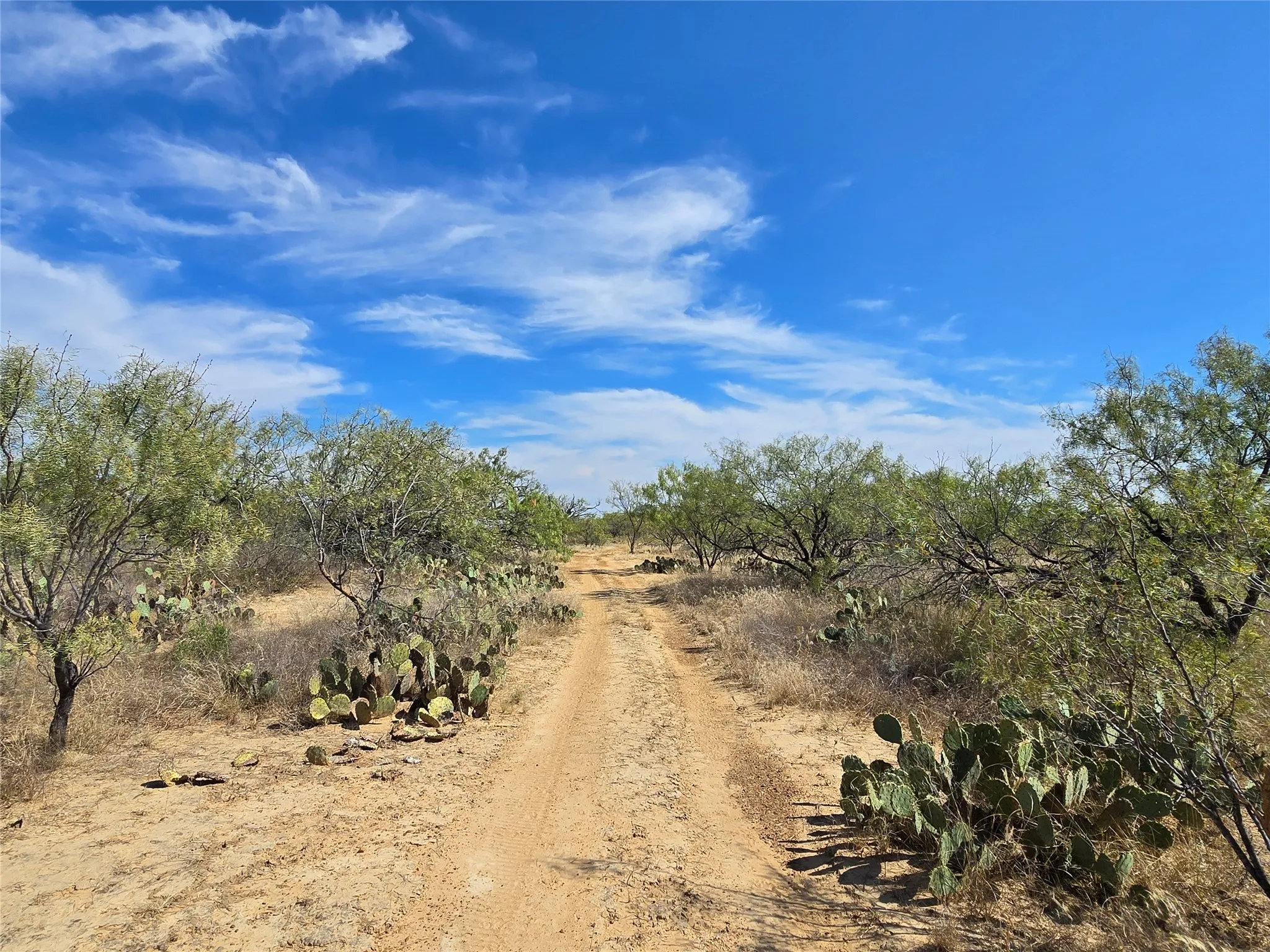 Ranch For Sale in San Saba County , 5780 County Road 266, Rochelle, Texas 76872, 0, 0, Garage spaces, 0 Sqft, built in 0, mls#21131574, Real Estate Agent in Rochelle, Homes For Sale in San Saba county, Homes For Sale in Rochelle, Realtor in Rochelle Texas, Real Estate Brokerage Independent Realty Texas, Luminita Cordes Realtor