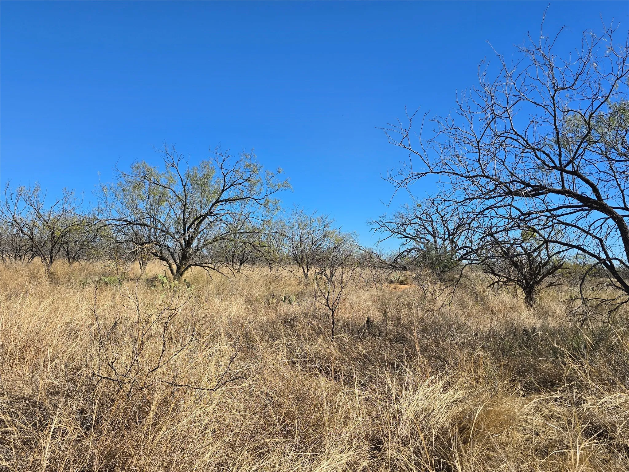 Ranch For Sale in San Saba County , 5780 County Road 266, Rochelle, Texas 76872, 0, 0, Garage spaces, 0 Sqft, built in 0, mls#21131574, Real Estate Agent in Rochelle, Homes For Sale in San Saba county, Homes For Sale in Rochelle, Realtor in Rochelle Texas, Real Estate Brokerage Independent Realty Texas, Luminita Cordes Realtor