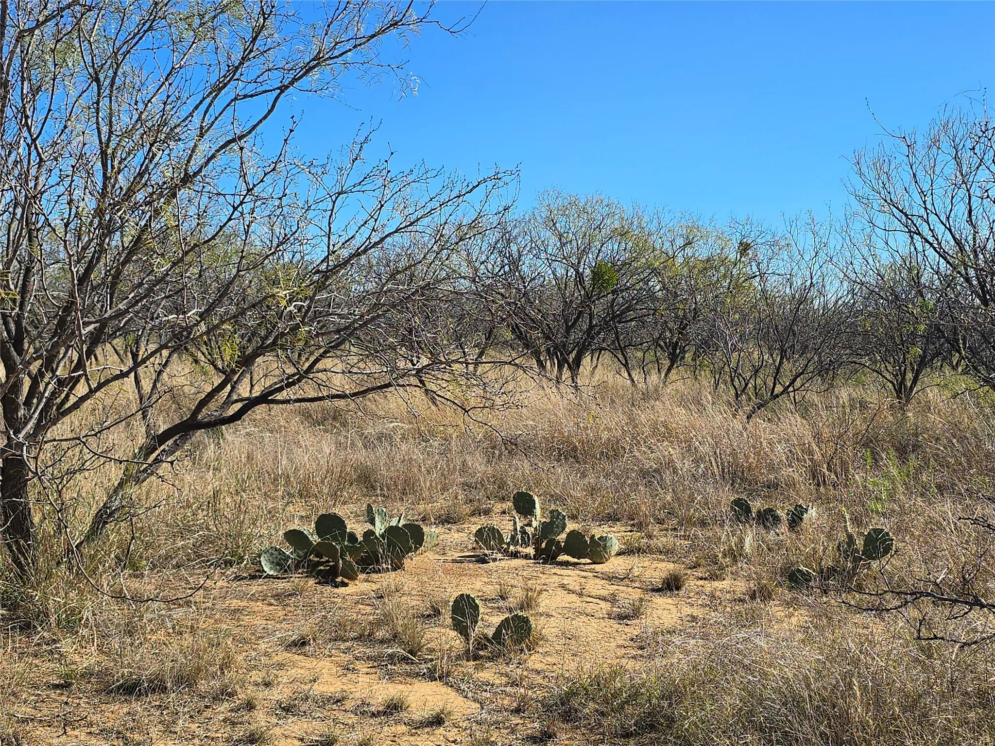 Ranch For Sale in San Saba County , 5780 County Road 266, Rochelle, Texas 76872, 0, 0, Garage spaces, 0 Sqft, built in 0, mls#21131574, Real Estate Agent in Rochelle, Homes For Sale in San Saba county, Homes For Sale in Rochelle, Realtor in Rochelle Texas, Real Estate Brokerage Independent Realty Texas, Luminita Cordes Realtor