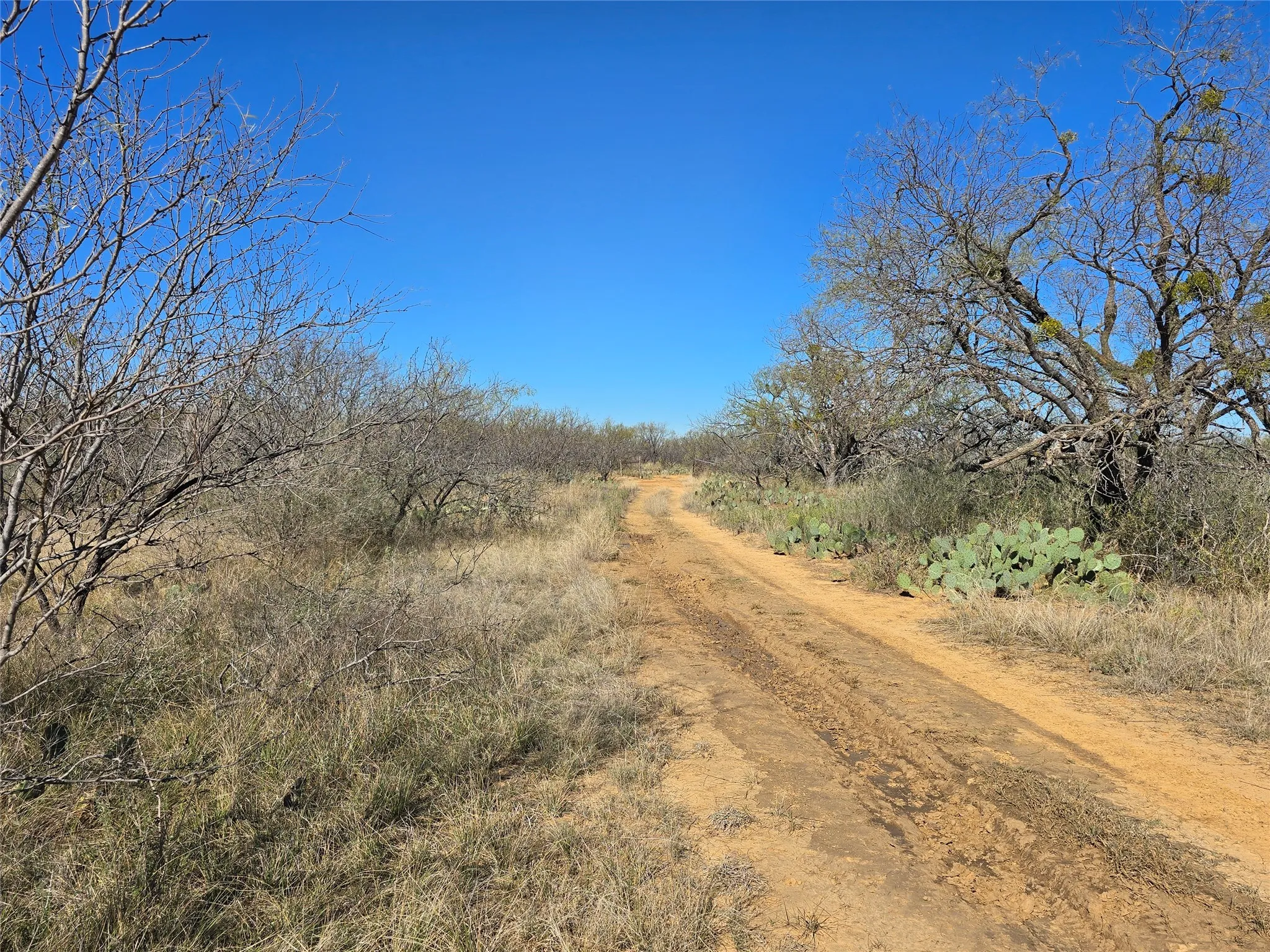 Ranch For Sale in San Saba County , 5780 County Road 266, Rochelle, Texas 76872, 0, 0, Garage spaces, 0 Sqft, built in 0, mls#21131574, Real Estate Agent in Rochelle, Homes For Sale in San Saba county, Homes For Sale in Rochelle, Realtor in Rochelle Texas, Real Estate Brokerage Independent Realty Texas, Luminita Cordes Realtor