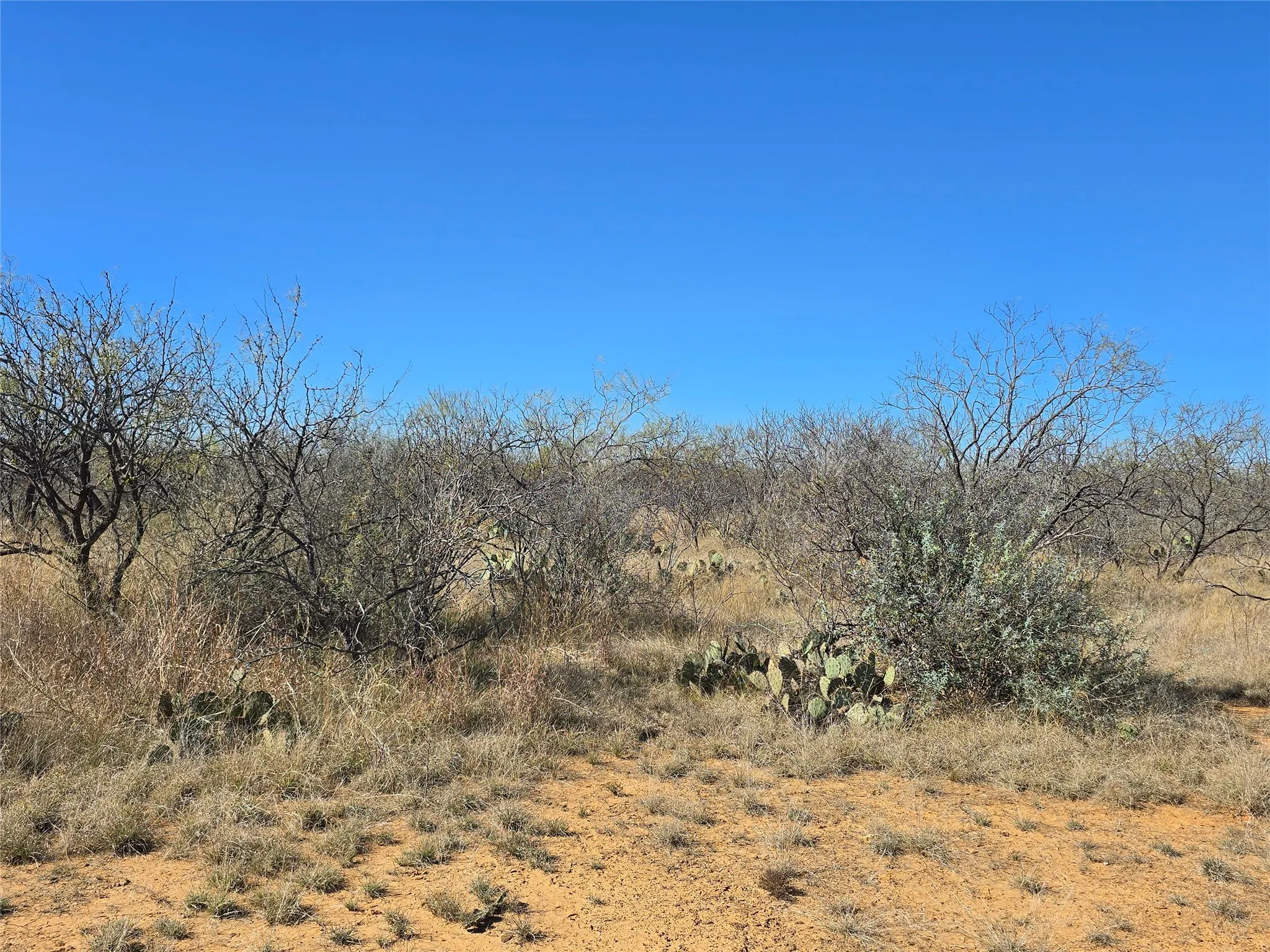 Ranch For Sale in San Saba County , 5780 County Road 266, Rochelle, Texas 76872, 0, 0, Garage spaces, 0 Sqft, built in 0, mls#21131574, Real Estate Agent in Rochelle, Homes For Sale in San Saba county, Homes For Sale in Rochelle, Realtor in Rochelle Texas, Real Estate Brokerage Independent Realty Texas, Luminita Cordes Realtor