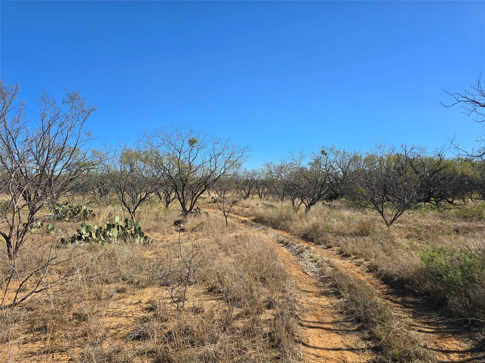 Ranch For Sale in San Saba County , 5780 County Road 266, Rochelle, Texas 76872, 0, 0, Garage spaces, 0 Sqft, built in 0, mls#21131574, Real Estate Agent in Rochelle, Homes For Sale in San Saba county, Homes For Sale in Rochelle, Realtor in Rochelle Texas, Real Estate Brokerage Independent Realty Texas, Luminita Cordes Realtor