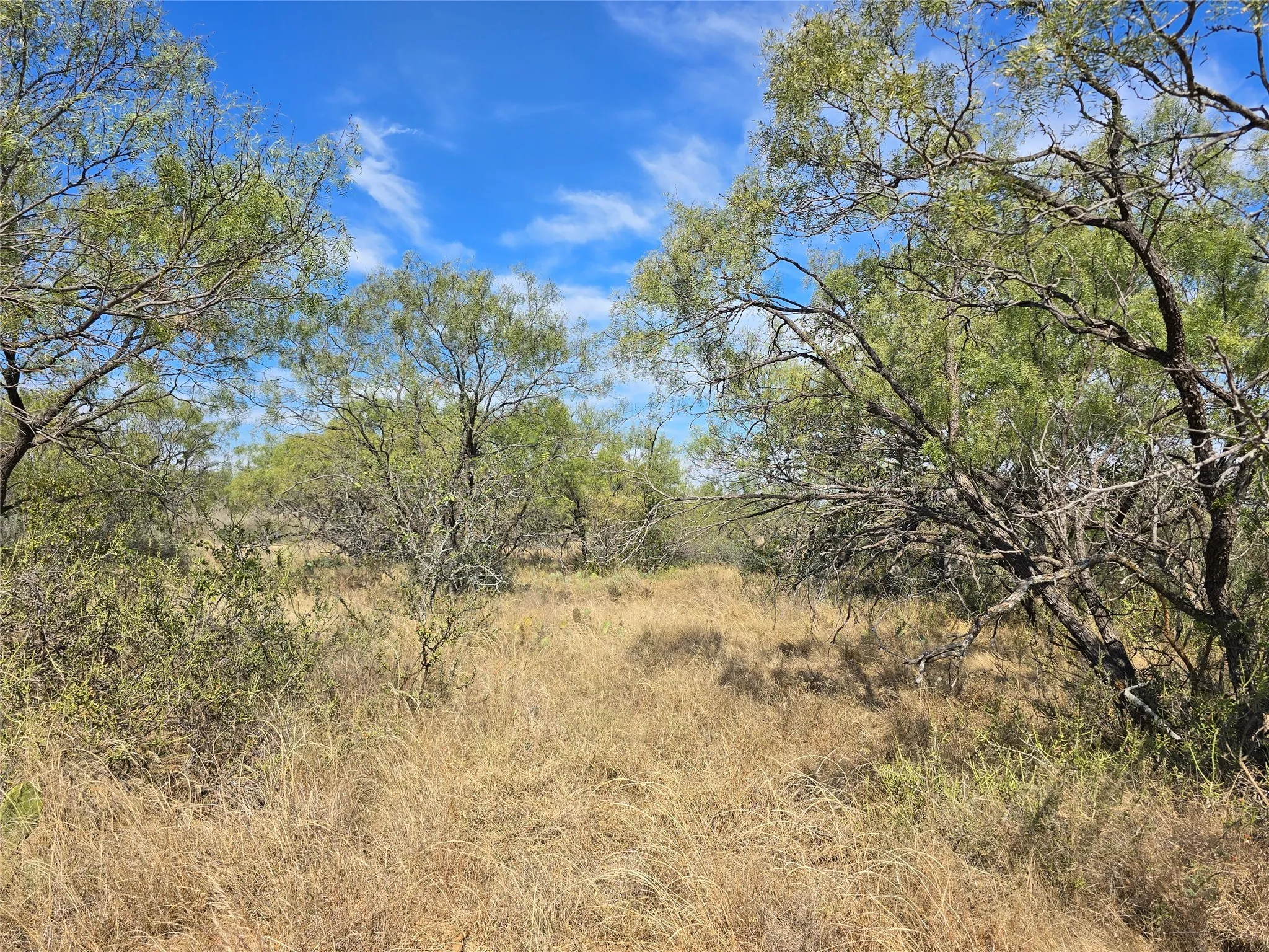 Ranch For Sale in San Saba County , 5780 County Road 266, Rochelle, Texas 76872, 0, 0, Garage spaces, 0 Sqft, built in 0, mls#21131574, Real Estate Agent in Rochelle, Homes For Sale in San Saba county, Homes For Sale in Rochelle, Realtor in Rochelle Texas, Real Estate Brokerage Independent Realty Texas, Luminita Cordes Realtor