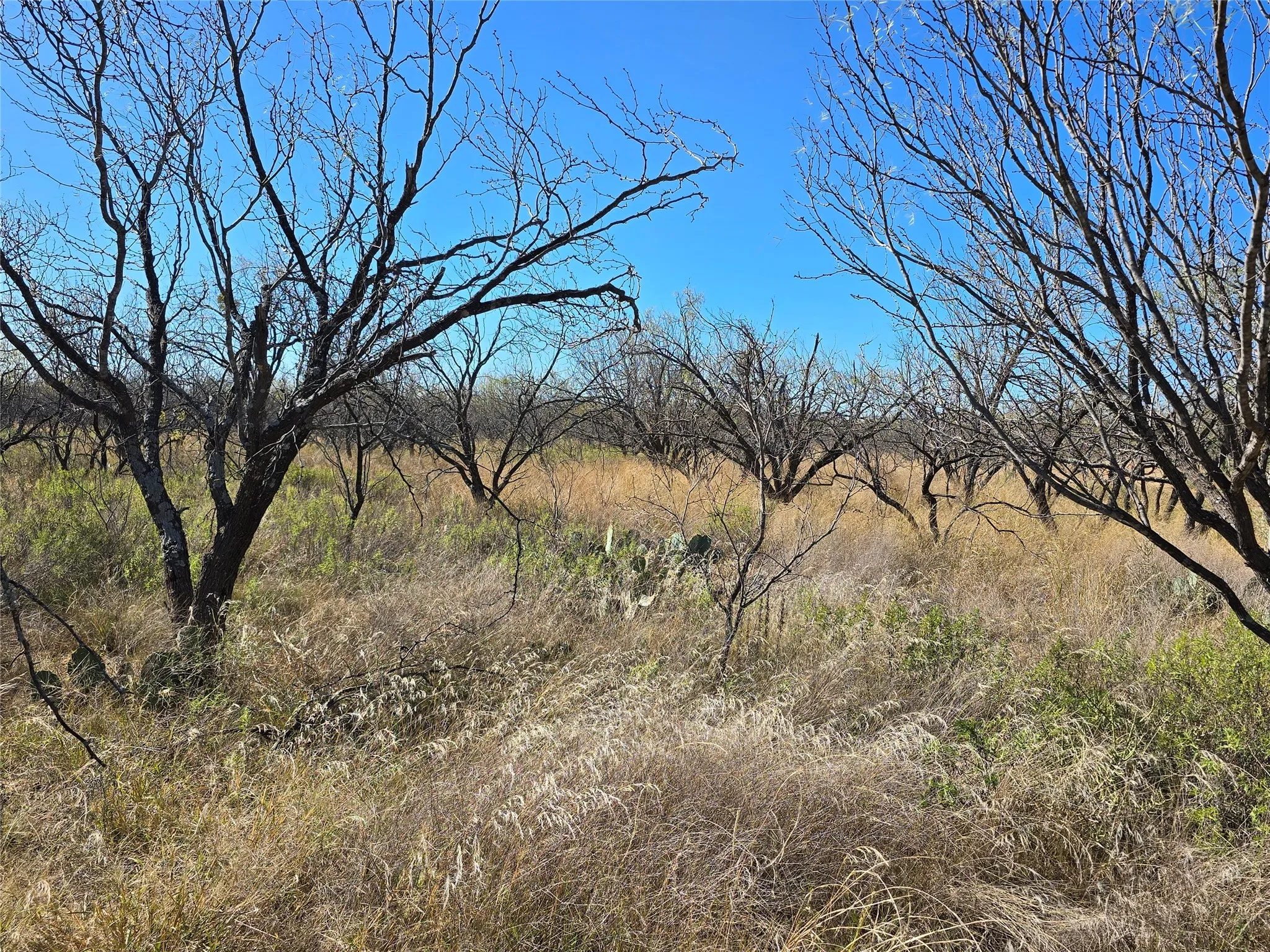 Ranch For Sale in San Saba County , 5780 County Road 266, Rochelle, Texas 76872, 0, 0, Garage spaces, 0 Sqft, built in 0, mls#21131574, Real Estate Agent in Rochelle, Homes For Sale in San Saba county, Homes For Sale in Rochelle, Realtor in Rochelle Texas, Real Estate Brokerage Independent Realty Texas, Luminita Cordes Realtor
