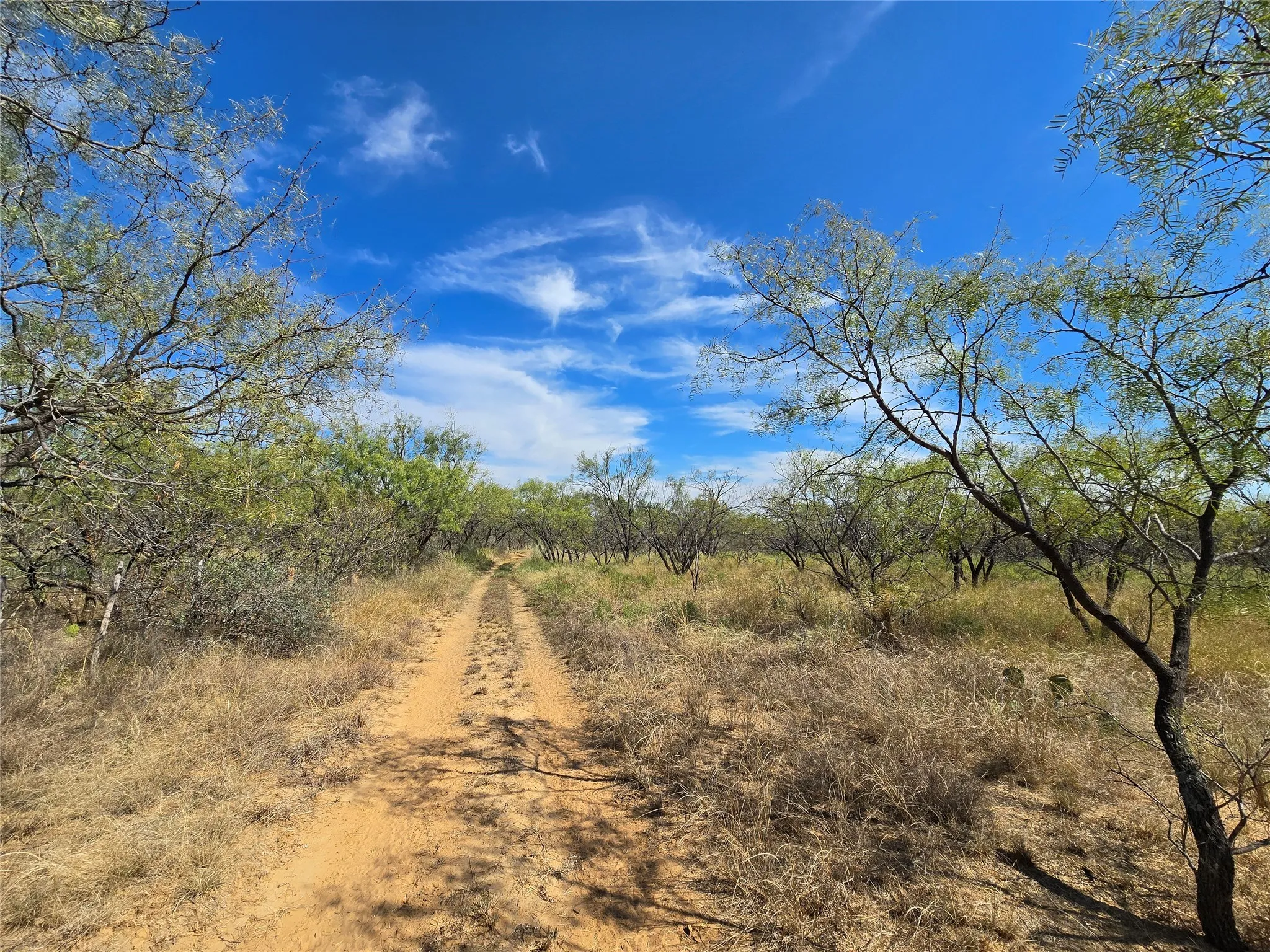 Ranch For Sale in San Saba County , 5780 County Road 266, Rochelle, Texas 76872, 0, 0, Garage spaces, 0 Sqft, built in 0, mls#21131574, Real Estate Agent in Rochelle, Homes For Sale in San Saba county, Homes For Sale in Rochelle, Realtor in Rochelle Texas, Real Estate Brokerage Independent Realty Texas, Luminita Cordes Realtor