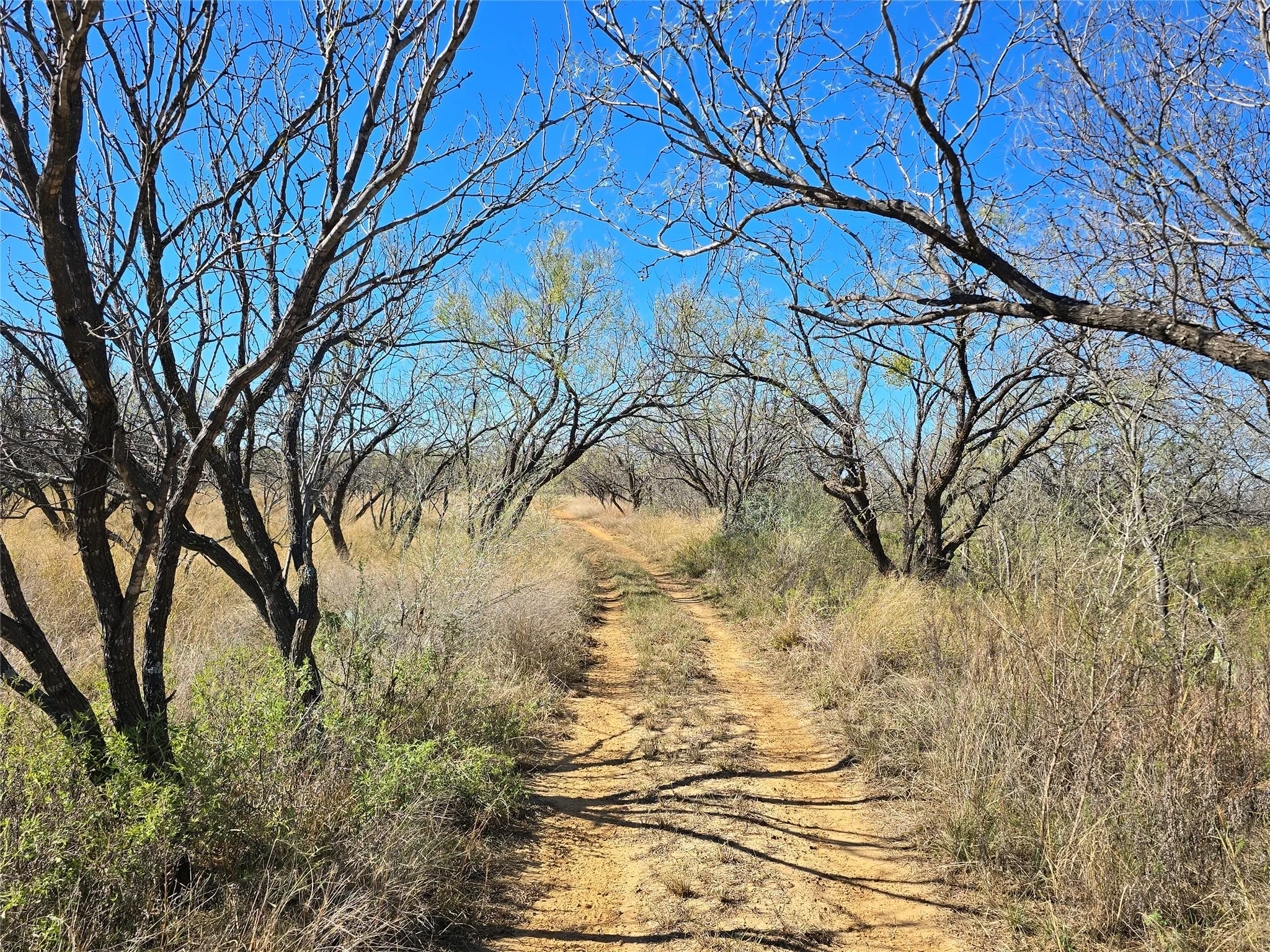 Ranch For Sale in San Saba County , 5780 County Road 266, Rochelle, Texas 76872, 0, 0, Garage spaces, 0 Sqft, built in 0, mls#21131574, Real Estate Agent in Rochelle, Homes For Sale in San Saba county, Homes For Sale in Rochelle, Realtor in Rochelle Texas, Real Estate Brokerage Independent Realty Texas, Luminita Cordes Realtor