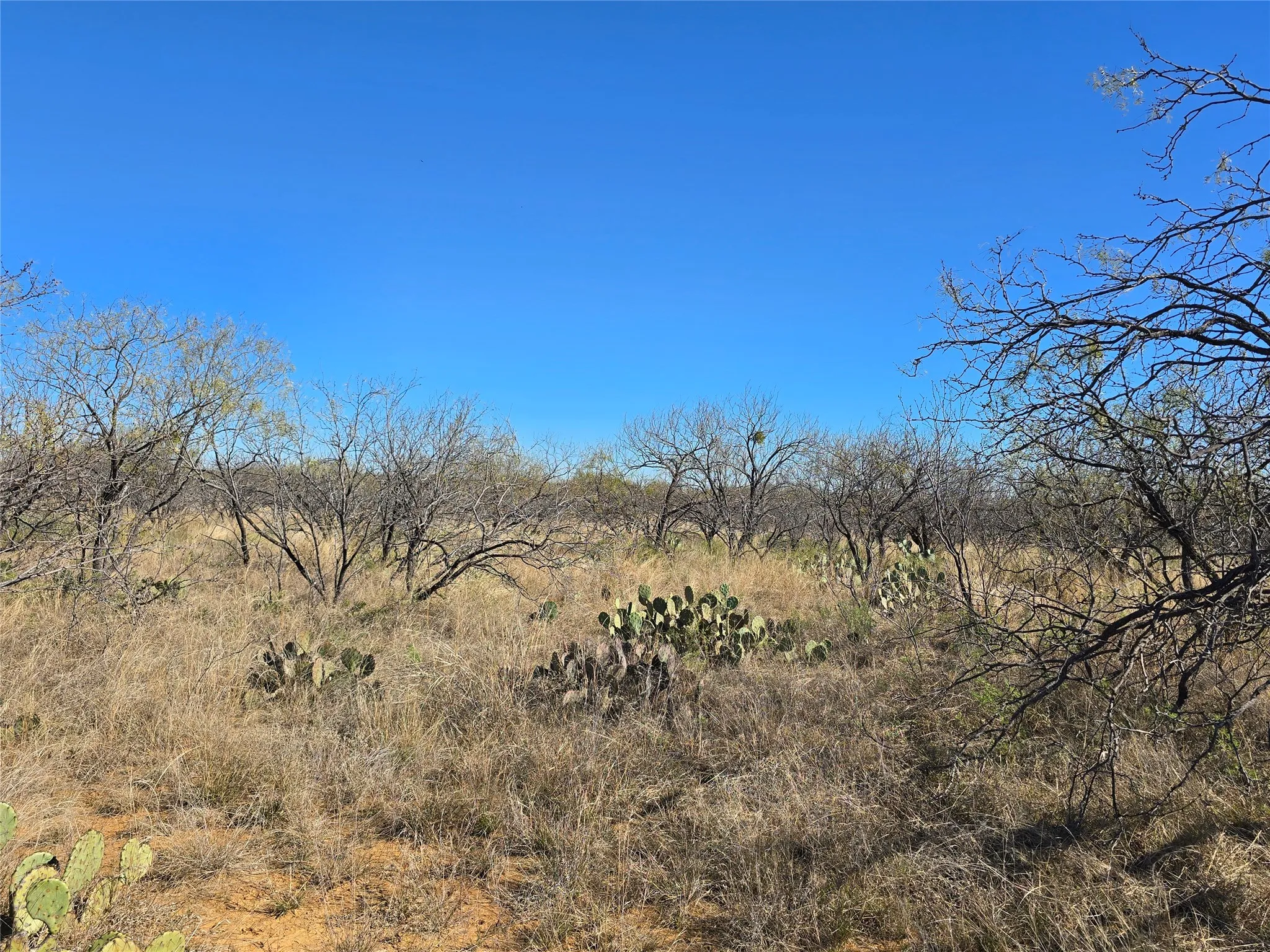 Ranch For Sale in San Saba County , 5780 County Road 266, Rochelle, Texas 76872, 0, 0, Garage spaces, 0 Sqft, built in 0, mls#21131574, Real Estate Agent in Rochelle, Homes For Sale in San Saba county, Homes For Sale in Rochelle, Realtor in Rochelle Texas, Real Estate Brokerage Independent Realty Texas, Luminita Cordes Realtor