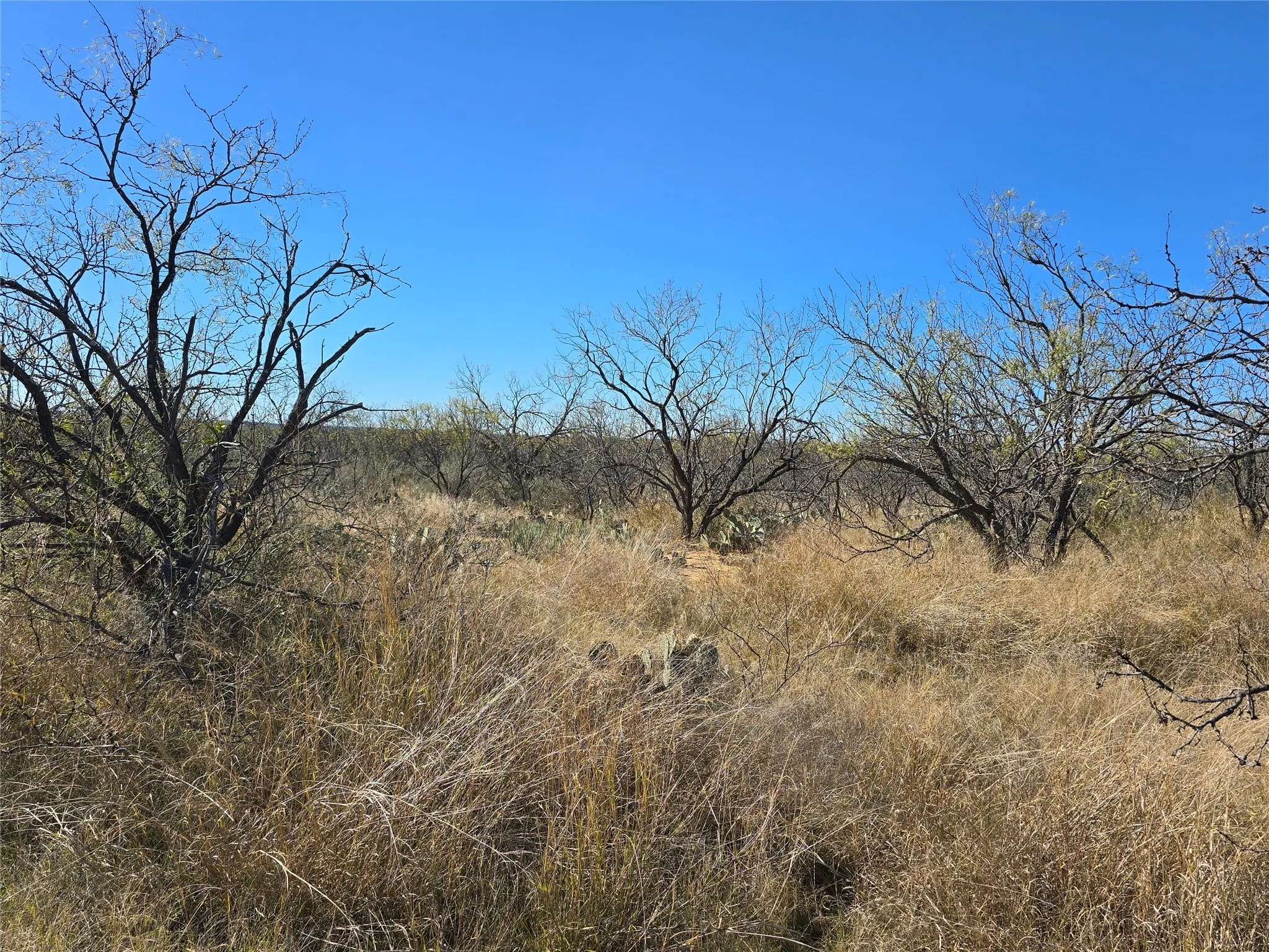 Ranch For Sale in San Saba County , 5780 County Road 266, Rochelle, Texas 76872, 0, 0, Garage spaces, 0 Sqft, built in 0, mls#21131574, Real Estate Agent in Rochelle, Homes For Sale in San Saba county, Homes For Sale in Rochelle, Realtor in Rochelle Texas, Real Estate Brokerage Independent Realty Texas, Luminita Cordes Realtor