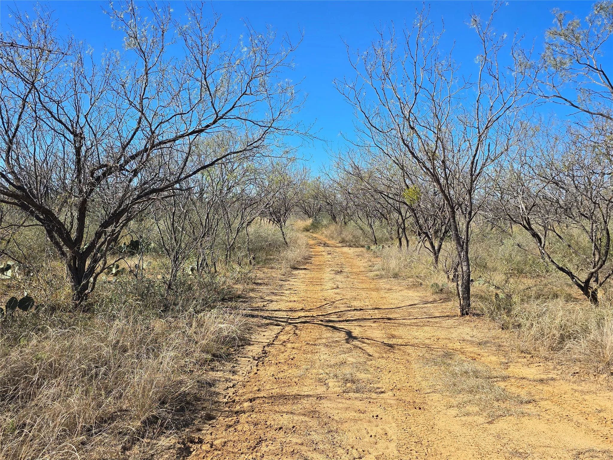 Ranch For Sale in San Saba County , 5780 County Road 266, Rochelle, Texas 76872, 0, 0, Garage spaces, 0 Sqft, built in 0, mls#21131574, Real Estate Agent in Rochelle, Homes For Sale in San Saba county, Homes For Sale in Rochelle, Realtor in Rochelle Texas, Real Estate Brokerage Independent Realty Texas, Luminita Cordes Realtor