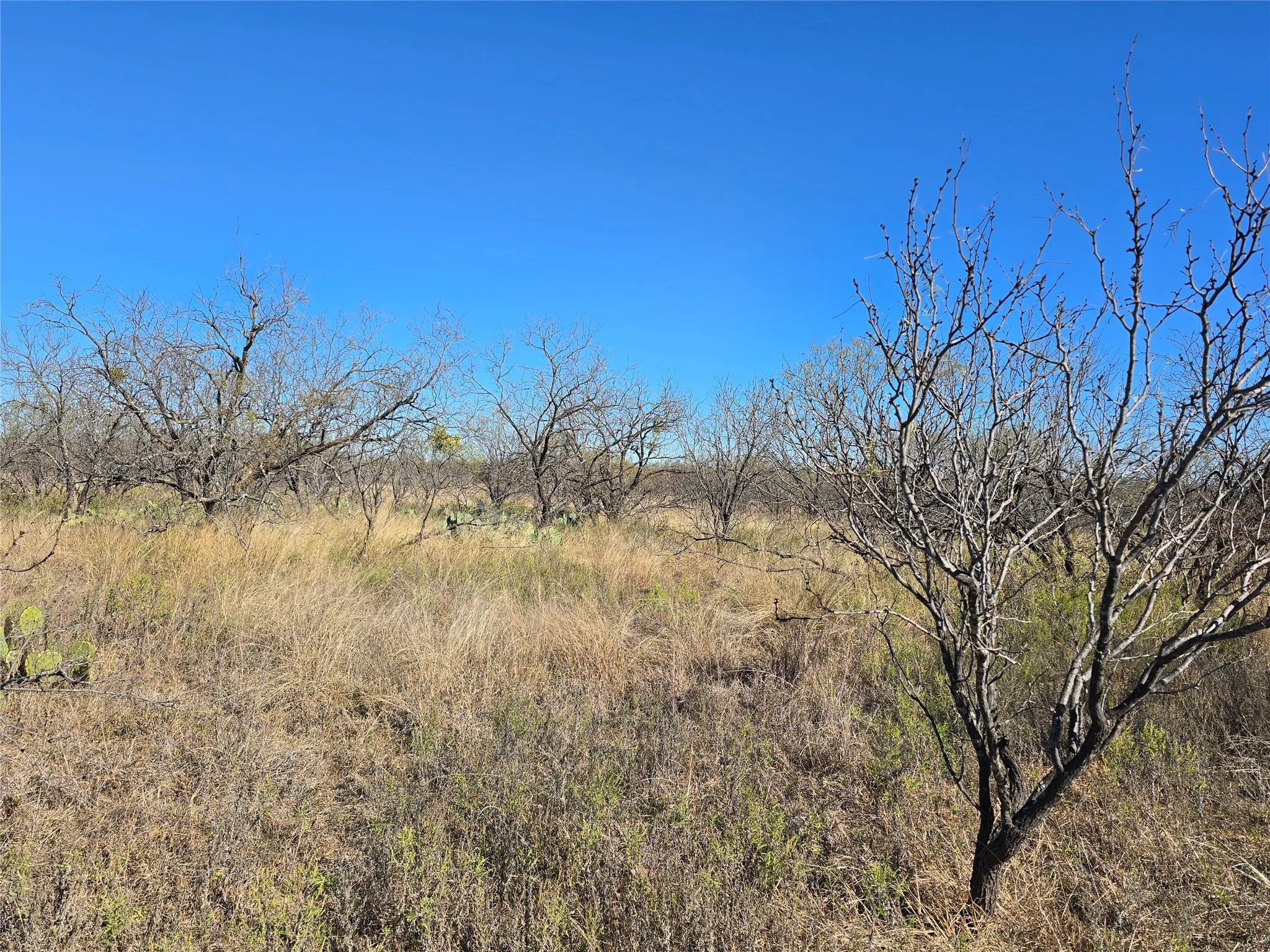 Ranch For Sale in San Saba County , 5780 County Road 266, Rochelle, Texas 76872, 0, 0, Garage spaces, 0 Sqft, built in 0, mls#21131574, Real Estate Agent in Rochelle, Homes For Sale in San Saba county, Homes For Sale in Rochelle, Realtor in Rochelle Texas, Real Estate Brokerage Independent Realty Texas, Luminita Cordes Realtor