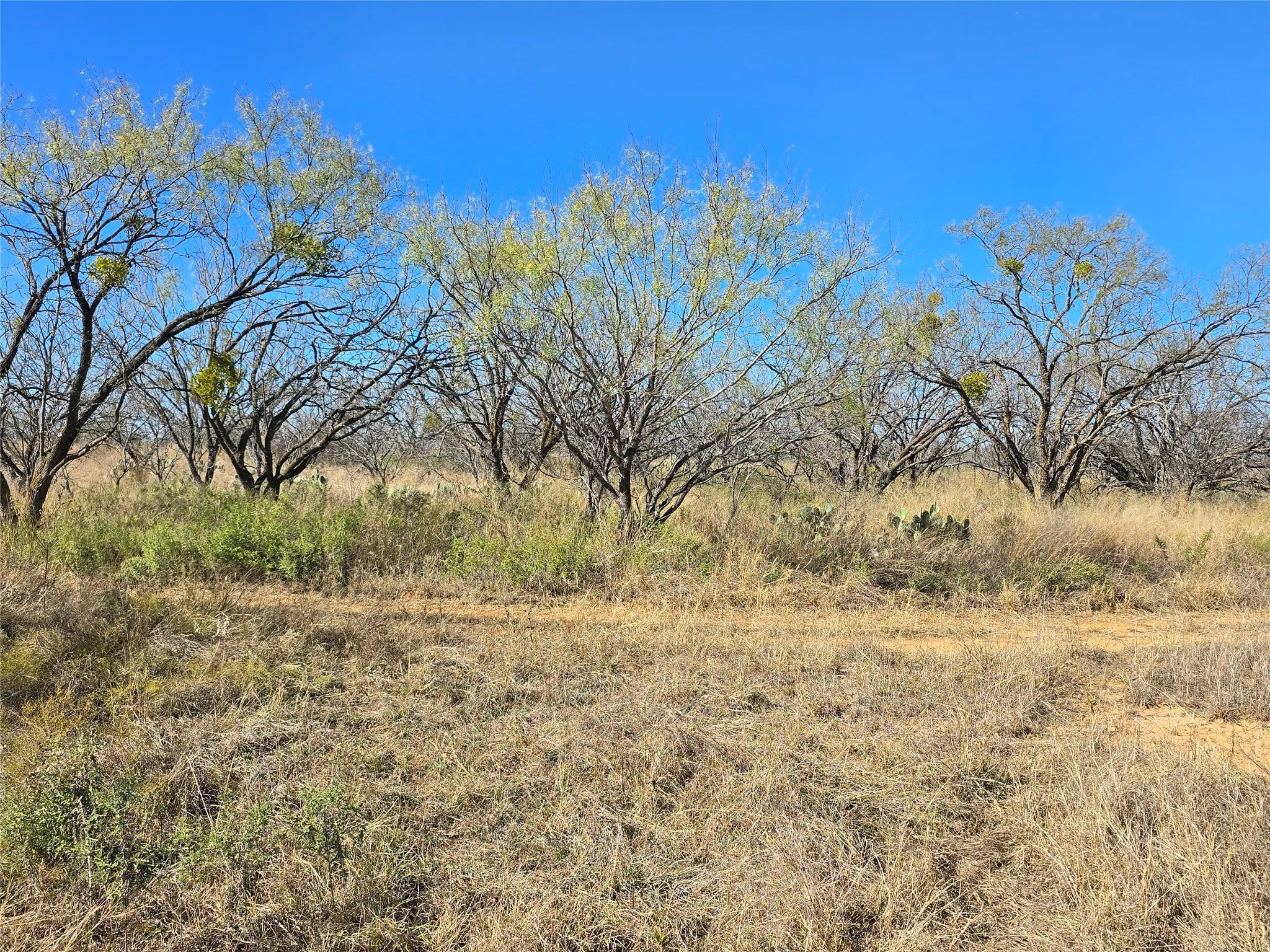 Ranch For Sale in San Saba County , 5780 County Road 266, Rochelle, Texas 76872, 0, 0, Garage spaces, 0 Sqft, built in 0, mls#21131574, Real Estate Agent in Rochelle, Homes For Sale in San Saba county, Homes For Sale in Rochelle, Realtor in Rochelle Texas, Real Estate Brokerage Independent Realty Texas, Luminita Cordes Realtor