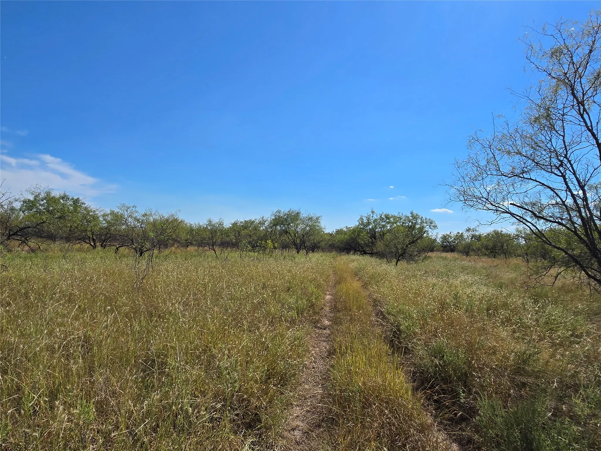 Ranch For Sale in San Saba County , 5780 County Road 266, Rochelle, Texas 76872, 0, 0, Garage spaces, 0 Sqft, built in 0, mls#21131574, Real Estate Agent in Rochelle, Homes For Sale in San Saba county, Homes For Sale in Rochelle, Realtor in Rochelle Texas, Real Estate Brokerage Independent Realty Texas, Luminita Cordes Realtor
