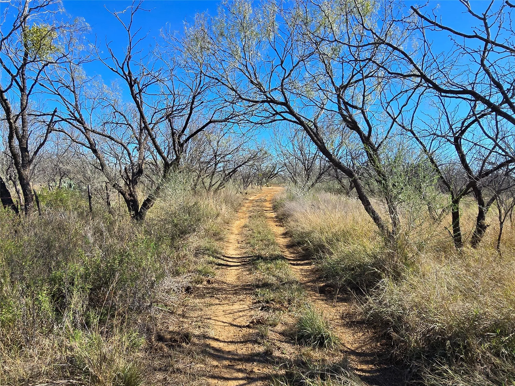 Ranch For Sale in San Saba County , 5780 County Road 266, Rochelle, Texas 76872, 0, 0, Garage spaces, 0 Sqft, built in 0, mls#21131574, Real Estate Agent in Rochelle, Homes For Sale in San Saba county, Homes For Sale in Rochelle, Realtor in Rochelle Texas, Real Estate Brokerage Independent Realty Texas, Luminita Cordes Realtor