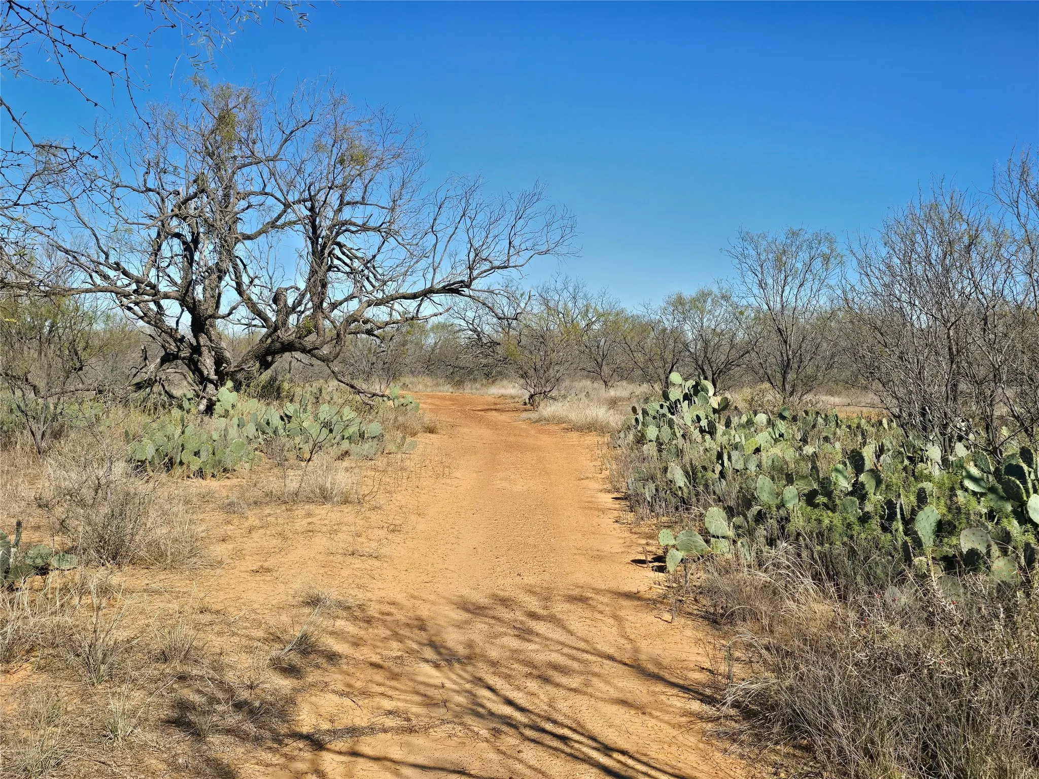 Ranch For Sale in San Saba County , 5780 County Road 266, Rochelle, Texas 76872, 0, 0, Garage spaces, 0 Sqft, built in 0, mls#21131574, Real Estate Agent in Rochelle, Homes For Sale in San Saba county, Homes For Sale in Rochelle, Realtor in Rochelle Texas, Real Estate Brokerage Independent Realty Texas, Luminita Cordes Realtor
