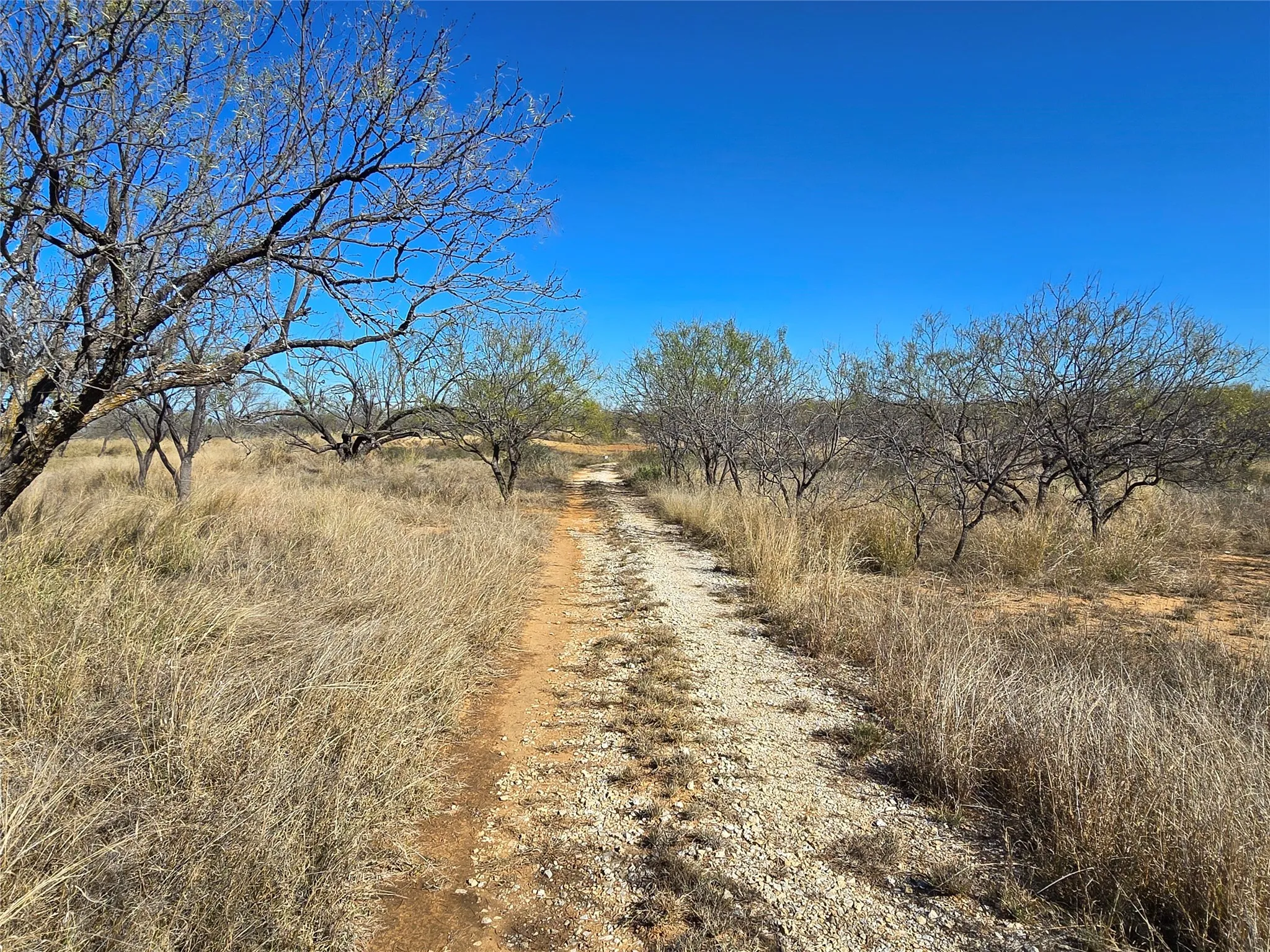 Ranch For Sale in San Saba County , 5780 County Road 266, Rochelle, Texas 76872, 0, 0, Garage spaces, 0 Sqft, built in 0, mls#21131574, Real Estate Agent in Rochelle, Homes For Sale in San Saba county, Homes For Sale in Rochelle, Realtor in Rochelle Texas, Real Estate Brokerage Independent Realty Texas, Luminita Cordes Realtor
