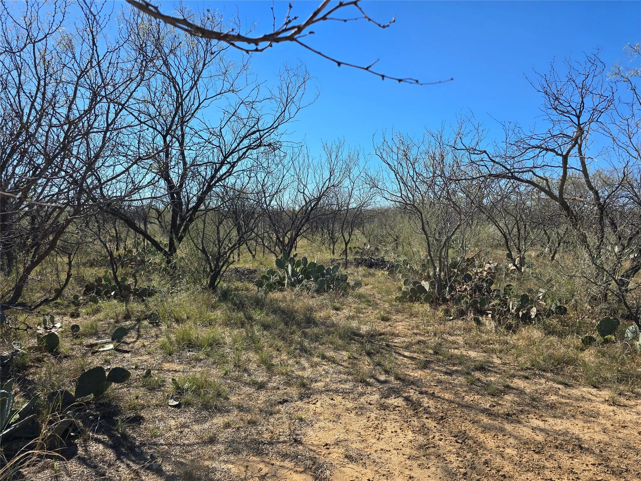 Ranch For Sale in San Saba County , 5780 County Road 266, Rochelle, Texas 76872, 0, 0, Garage spaces, 0 Sqft, built in 0, mls#21131574, Real Estate Agent in Rochelle, Homes For Sale in San Saba county, Homes For Sale in Rochelle, Realtor in Rochelle Texas, Real Estate Brokerage Independent Realty Texas, Luminita Cordes Realtor