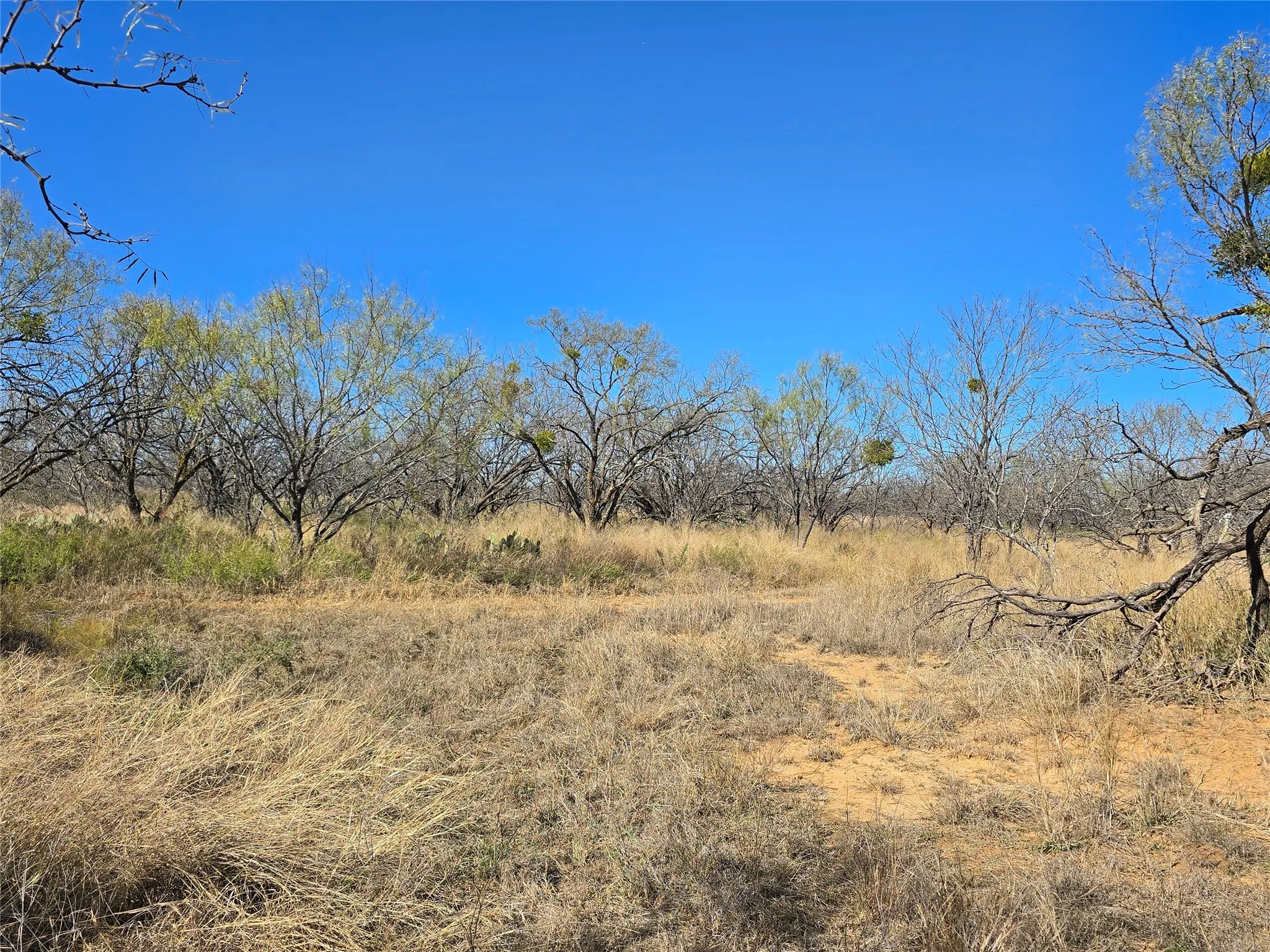 Ranch For Sale in San Saba County , 5780 County Road 266, Rochelle, Texas 76872, 0, 0, Garage spaces, 0 Sqft, built in 0, mls#21131574, Real Estate Agent in Rochelle, Homes For Sale in San Saba county, Homes For Sale in Rochelle, Realtor in Rochelle Texas, Real Estate Brokerage Independent Realty Texas, Luminita Cordes Realtor