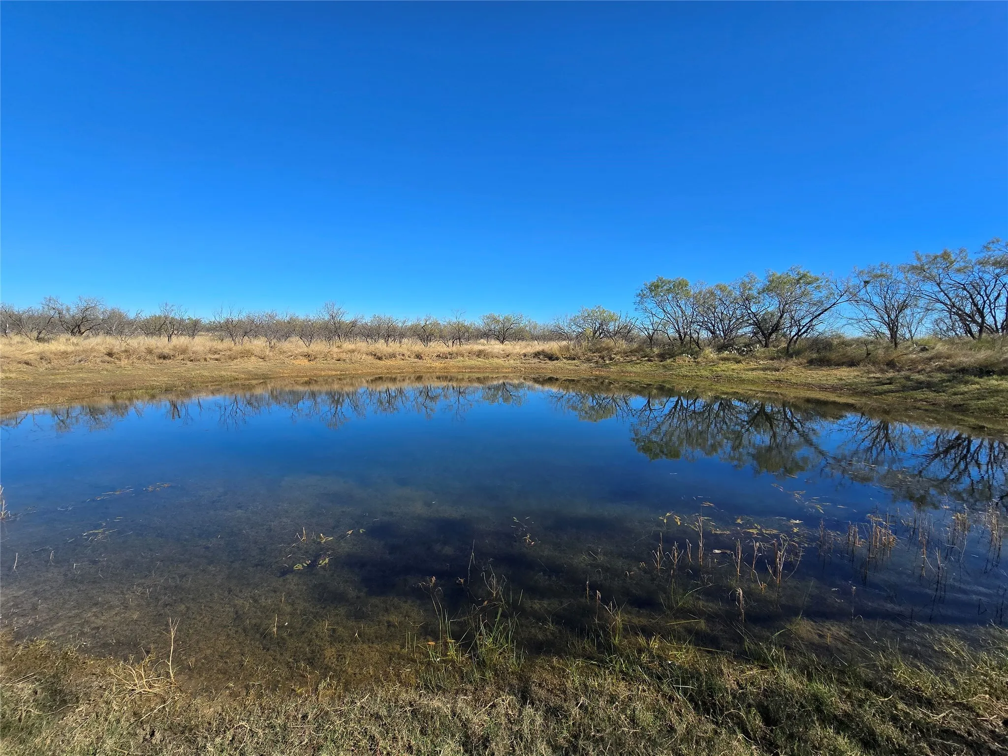 Ranch For Sale in San Saba County , 5780 County Road 266, Rochelle, Texas 76872, 0, 0, Garage spaces, 0 Sqft, built in 0, mls#21131574, Real Estate Agent in Rochelle, Homes For Sale in San Saba county, Homes For Sale in Rochelle, Realtor in Rochelle Texas, Real Estate Brokerage Independent Realty Texas, Luminita Cordes Realtor