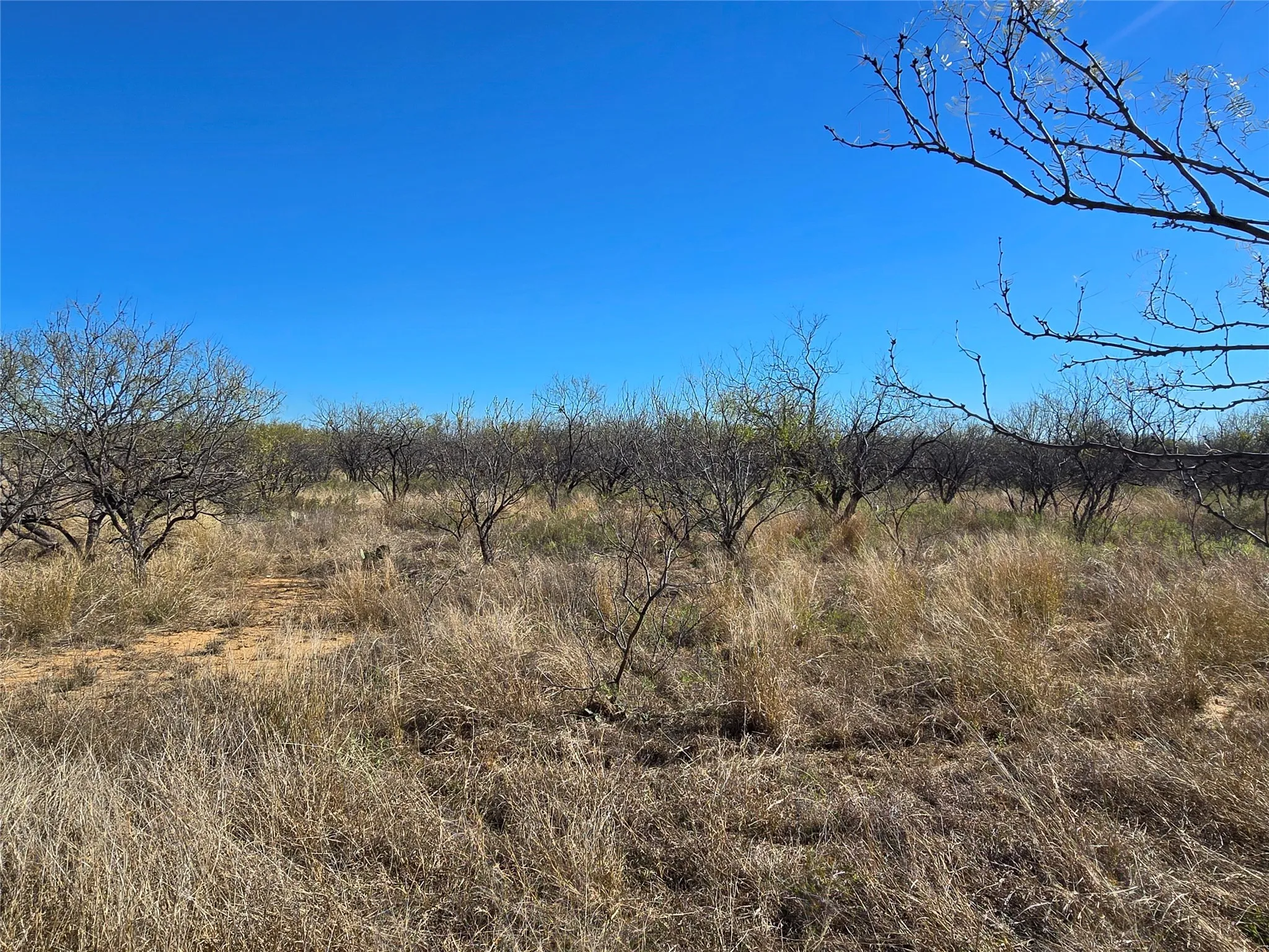 Ranch For Sale in San Saba County , 5780 County Road 266, Rochelle, Texas 76872, 0, 0, Garage spaces, 0 Sqft, built in 0, mls#21131574, Real Estate Agent in Rochelle, Homes For Sale in San Saba county, Homes For Sale in Rochelle, Realtor in Rochelle Texas, Real Estate Brokerage Independent Realty Texas, Luminita Cordes Realtor