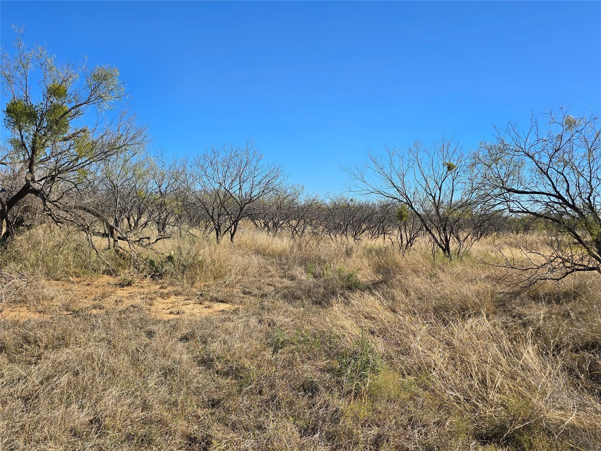 Ranch For Sale in San Saba County , 5780 County Road 266, Rochelle, Texas 76872, 0, 0, Garage spaces, 0 Sqft, built in 0, mls#21131574, Real Estate Agent in Rochelle, Homes For Sale in San Saba county, Homes For Sale in Rochelle, Realtor in Rochelle Texas, Real Estate Brokerage Independent Realty Texas, Luminita Cordes Realtor