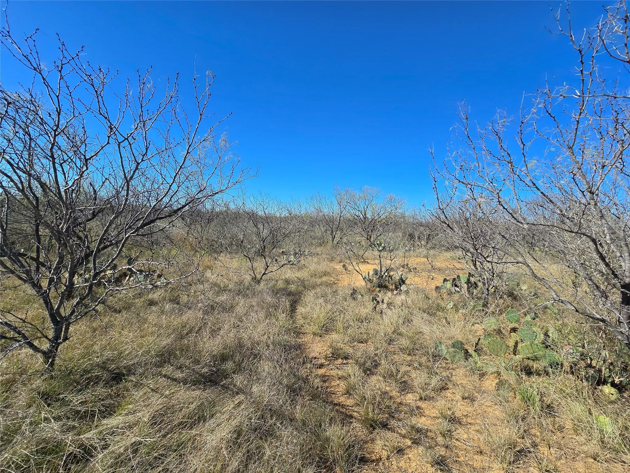 Ranch For Sale in San Saba County , 5780 County Road 266, Rochelle, Texas 76872, 0, 0, Garage spaces, 0 Sqft, built in 0, mls#21131574, Real Estate Agent in Rochelle, Homes For Sale in San Saba county, Homes For Sale in Rochelle, Realtor in Rochelle Texas, Real Estate Brokerage Independent Realty Texas, Luminita Cordes Realtor