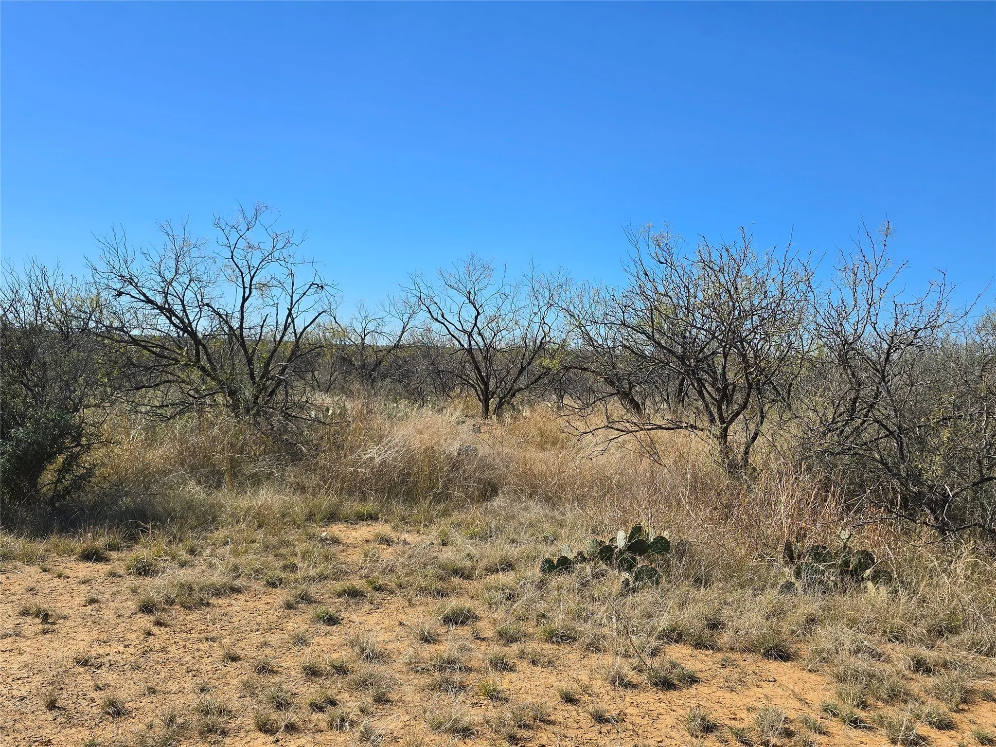Ranch For Sale in San Saba County , 5780 County Road 266, Rochelle, Texas 76872, 0, 0, Garage spaces, 0 Sqft, built in 0, mls#21131574, Real Estate Agent in Rochelle, Homes For Sale in San Saba county, Homes For Sale in Rochelle, Realtor in Rochelle Texas, Real Estate Brokerage Independent Realty Texas, Luminita Cordes Realtor