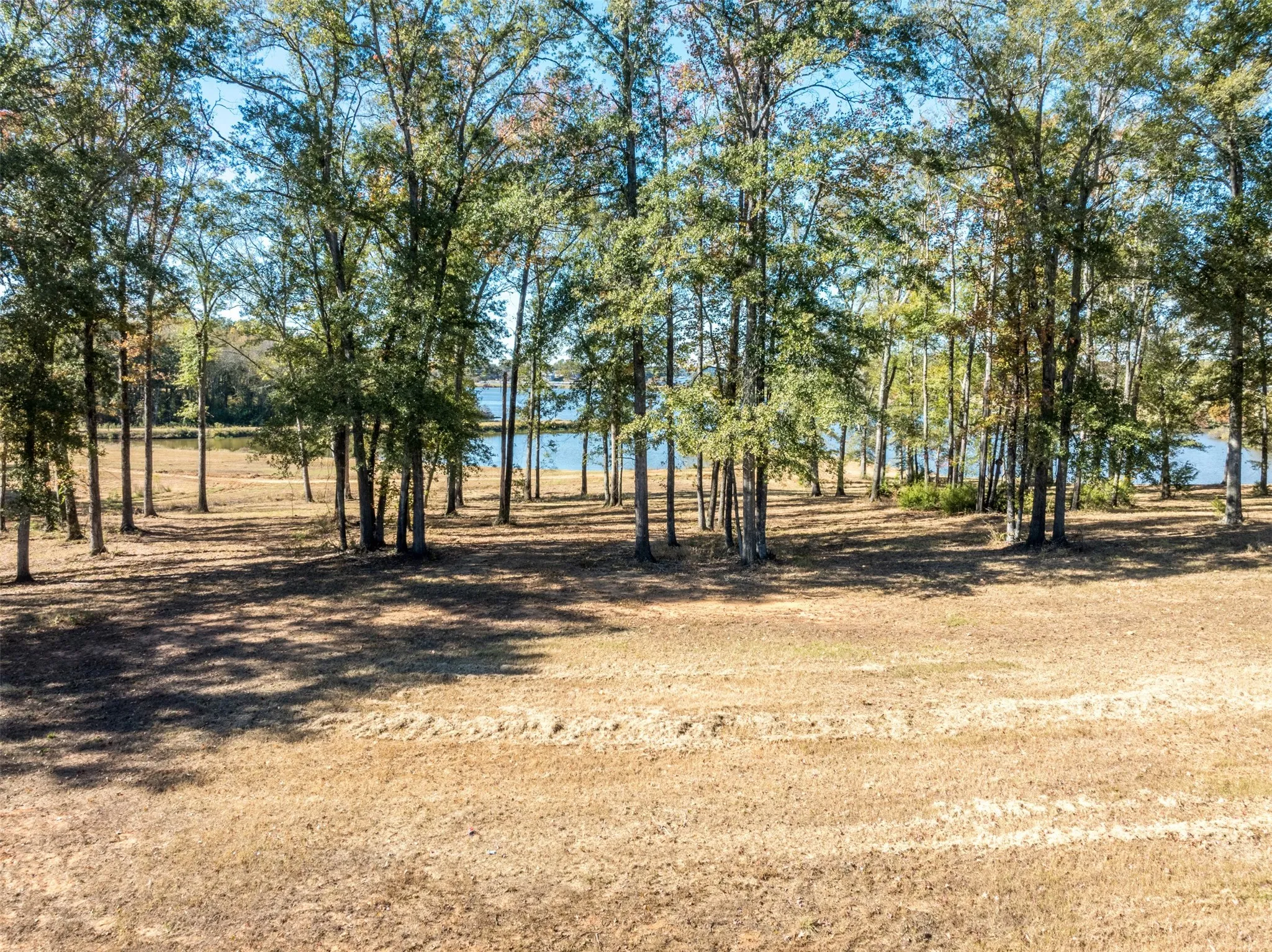 Improved Land For Sale in Smith County , 0 Carolina Drive Lot 12, Bullard, Texas 75757, 0, 0, Garage spaces, 0 Sqft, built in 0, Price $299,000, mls#21131622, Real Estate Agent in Bullard, Homes For Sale in Smith county, Homes For Sale in Bullard, Realtor in Bullard Texas, Real Estate Brokerage Independent Realty Texas, Luminita Cordes Realtor