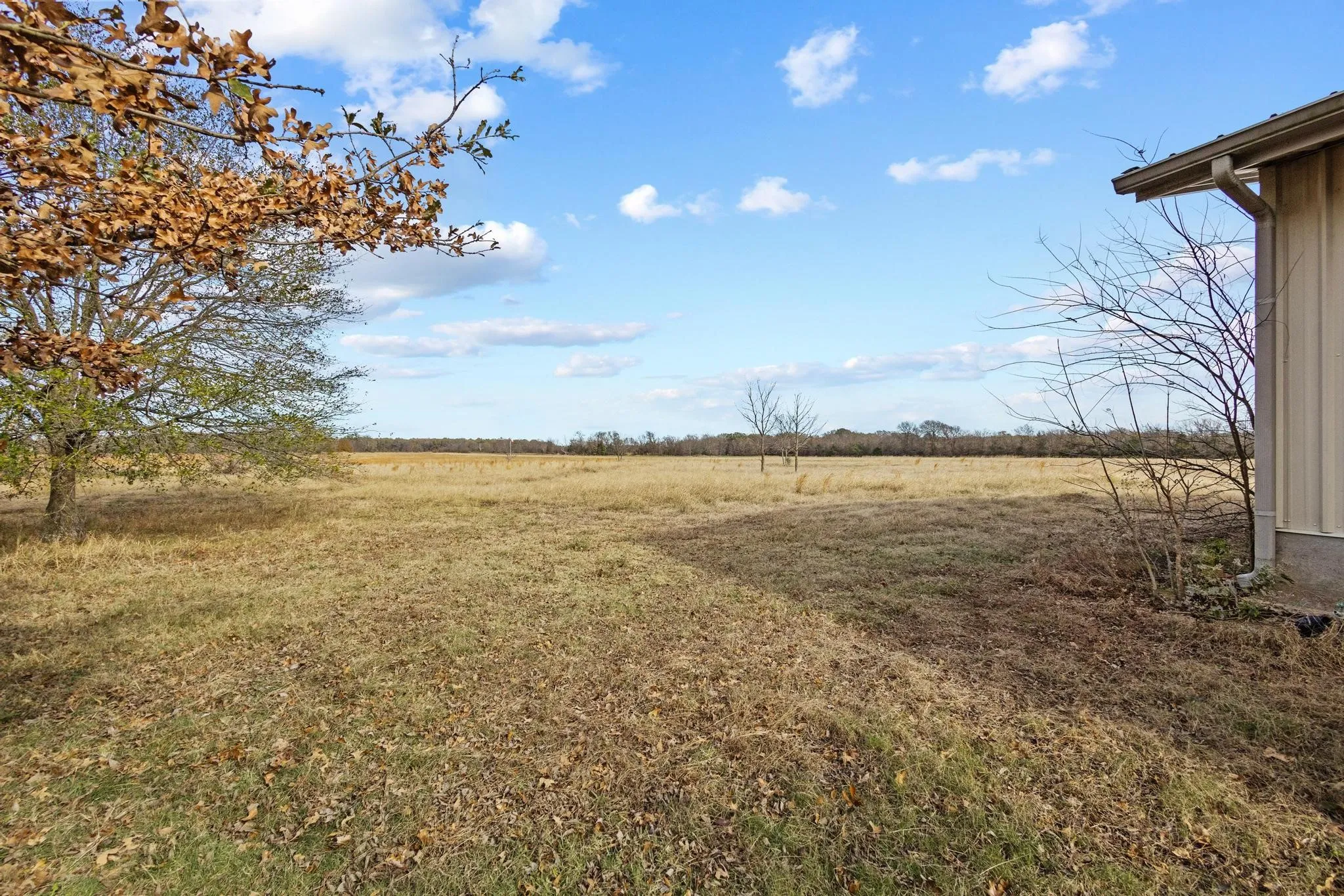 Single Family Residence For Sale in Lamar County , 1841 County Road 36080, Honey Grove, Texas 75446, 3 Bedroom, 2 Bathroom, Garage spaces, 1,800 Sqft, built in 2013, Price $125,000, mls#21131524, Real Estate Agent in Honey Grove, Homes For Sale in Lamar county, Homes For Sale in Honey Grove, Realtor in Honey Grove Texas, Real Estate Brokerage Independent Realty Texas, Luminita Cordes Realtor