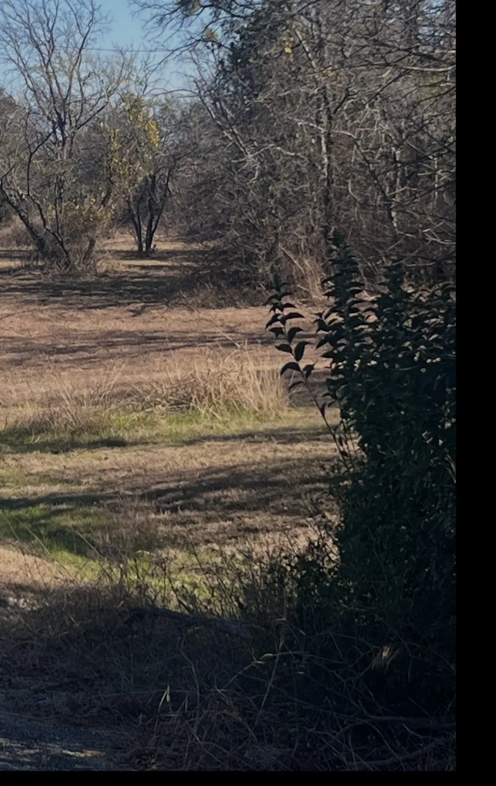 Unimproved Land For Sale in Wise County , 2 Lots Lanai Drive, Runaway Bay, Texas 76426, 0, 0, Garage spaces, 0 Sqft, built in 0, mls#21131506, Real Estate Agent in Runaway Bay, Homes For Sale in Wise county, Homes For Sale in Runaway Bay, Realtor in Runaway Bay Texas, Real Estate Brokerage Independent Realty Texas, Luminita Cordes Realtor