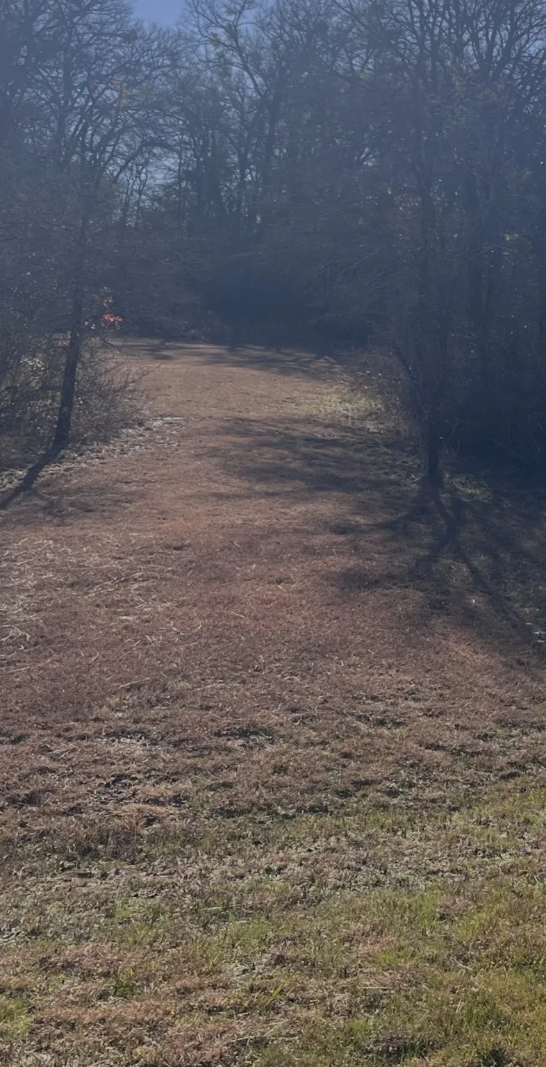 Unimproved Land For Sale in Wise County , 2 Lots Lanai Drive, Runaway Bay, Texas 76426, 0, 0, Garage spaces, 0 Sqft, built in 0, mls#21131506, Real Estate Agent in Runaway Bay, Homes For Sale in Wise county, Homes For Sale in Runaway Bay, Realtor in Runaway Bay Texas, Real Estate Brokerage Independent Realty Texas, Luminita Cordes Realtor