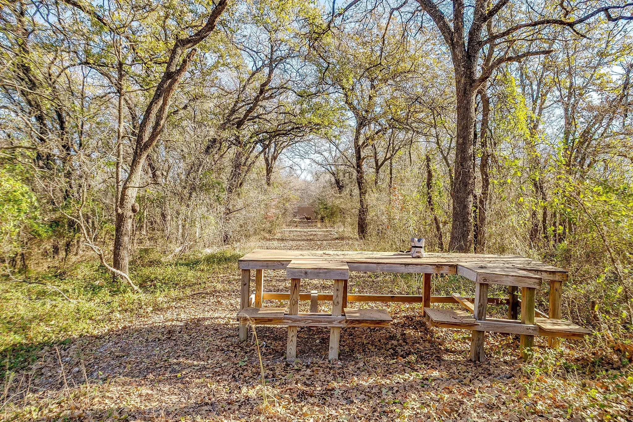 Farm For Sale in Johnson County , 1512 E Henderson Street, Cleburne, Texas 76031, 4 Bedroom, 4 Bathroom, Garage spaces, 2,736 Sqft, built in 2022, mls#21131864, Real Estate Agent in Cleburne, Homes For Sale in Johnson county, Homes For Sale in Cleburne, Realtor in Cleburne Texas, Real Estate Brokerage Independent Realty Texas, Luminita Cordes Realtor