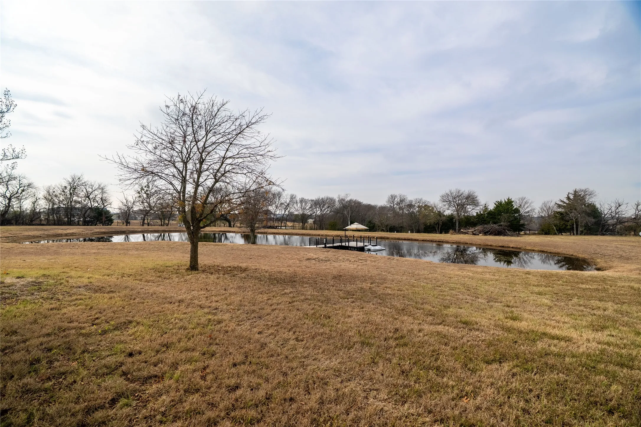 View of pond from the house.