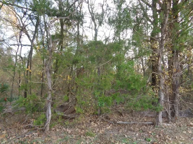 Unimproved Land For Sale in Wood County , TBD CR 4870, Winnsboro, Texas 75494, 0, 0, Garage spaces, 0 Sqft, built in 0, Price $640,000, mls#21132365, Real Estate Agent in Winnsboro, Homes For Sale in Wood county, Homes For Sale in Winnsboro, Realtor in Winnsboro Texas, Real Estate Brokerage Independent Realty Texas, Luminita Cordes Realtor