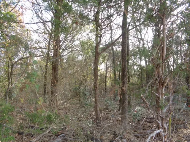 Unimproved Land For Sale in Wood County , TBD CR 4870, Winnsboro, Texas 75494, 0, 0, Garage spaces, 0 Sqft, built in 0, Price $640,000, mls#21132365, Real Estate Agent in Winnsboro, Homes For Sale in Wood county, Homes For Sale in Winnsboro, Realtor in Winnsboro Texas, Real Estate Brokerage Independent Realty Texas, Luminita Cordes Realtor
