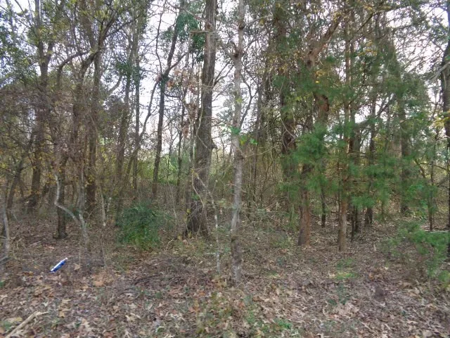 Unimproved Land For Sale in Wood County , TBD CR 4870, Winnsboro, Texas 75494, 0, 0, Garage spaces, 0 Sqft, built in 0, Price $640,000, mls#21132365, Real Estate Agent in Winnsboro, Homes For Sale in Wood county, Homes For Sale in Winnsboro, Realtor in Winnsboro Texas, Real Estate Brokerage Independent Realty Texas, Luminita Cordes Realtor