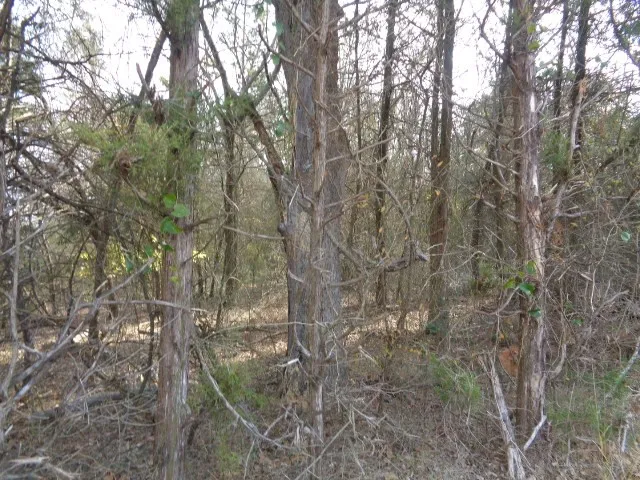 Unimproved Land For Sale in Wood County , TBD CR 4870, Winnsboro, Texas 75494, 0, 0, Garage spaces, 0 Sqft, built in 0, Price $640,000, mls#21132365, Real Estate Agent in Winnsboro, Homes For Sale in Wood county, Homes For Sale in Winnsboro, Realtor in Winnsboro Texas, Real Estate Brokerage Independent Realty Texas, Luminita Cordes Realtor