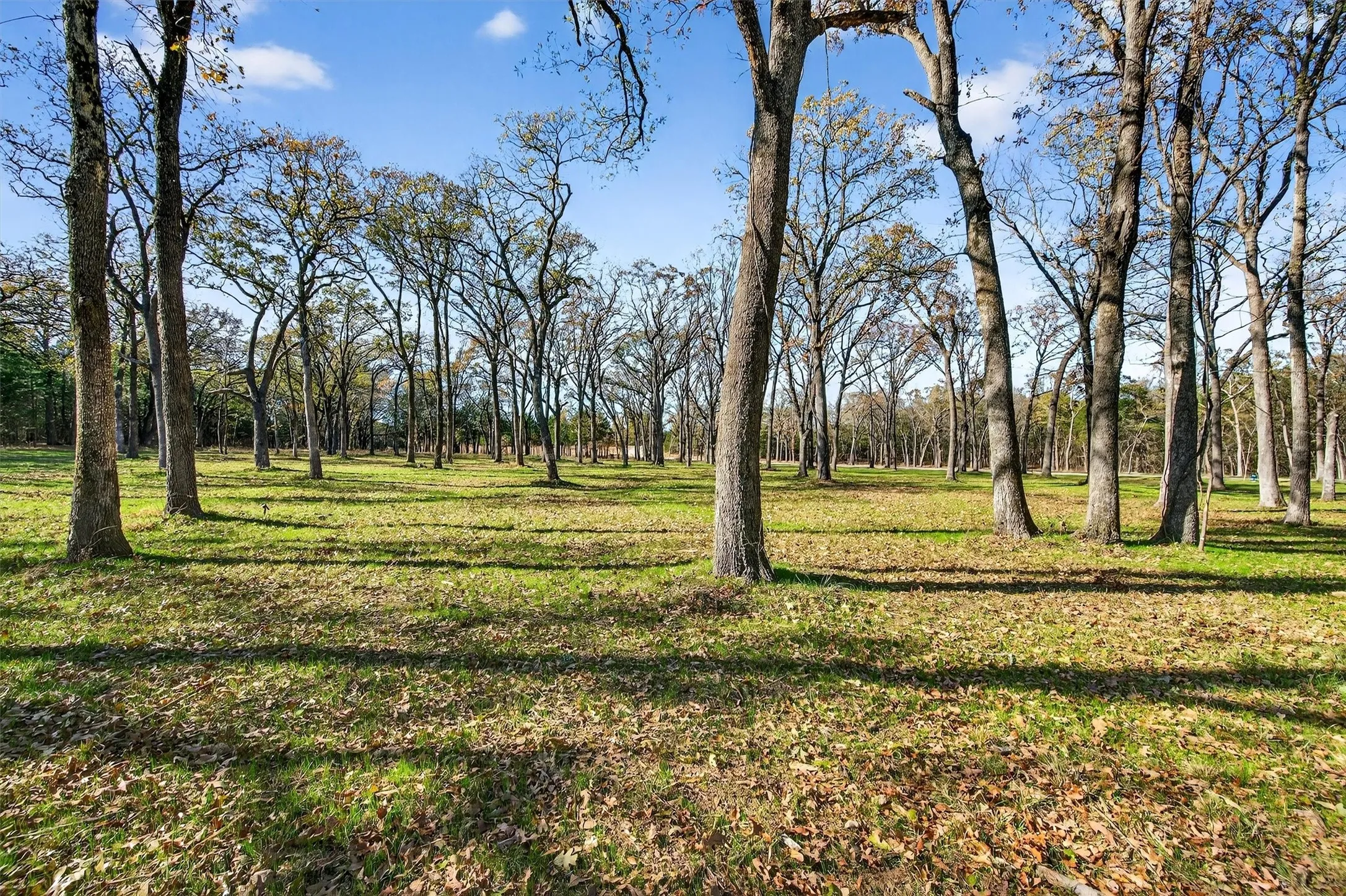 Unimproved Land For Sale in Grayson County , Lot 15 Buck Trail, Pottsboro, Texas 75076, 0, 0, Garage spaces, 0 Sqft, built in 0, mls#21132070, Real Estate Agent in Pottsboro, Homes For Sale in Grayson county, Homes For Sale in Pottsboro, Realtor in Pottsboro Texas, Real Estate Brokerage Independent Realty Texas, Luminita Cordes Realtor