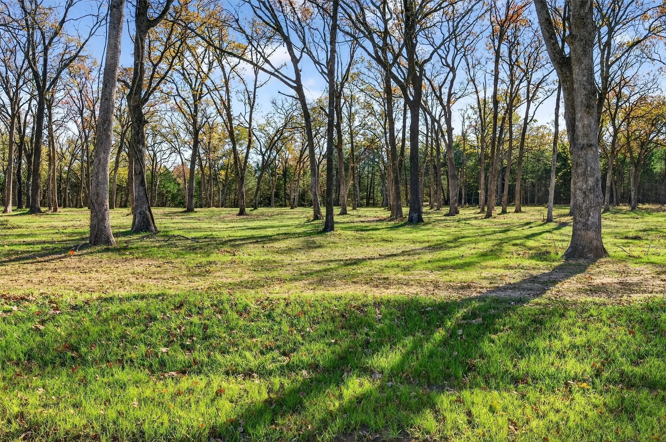 Unimproved Land For Sale in Grayson County , Lot 15 Buck Trail, Pottsboro, Texas 75076, 0, 0, Garage spaces, 0 Sqft, built in 0, mls#21132070, Real Estate Agent in Pottsboro, Homes For Sale in Grayson county, Homes For Sale in Pottsboro, Realtor in Pottsboro Texas, Real Estate Brokerage Independent Realty Texas, Luminita Cordes Realtor