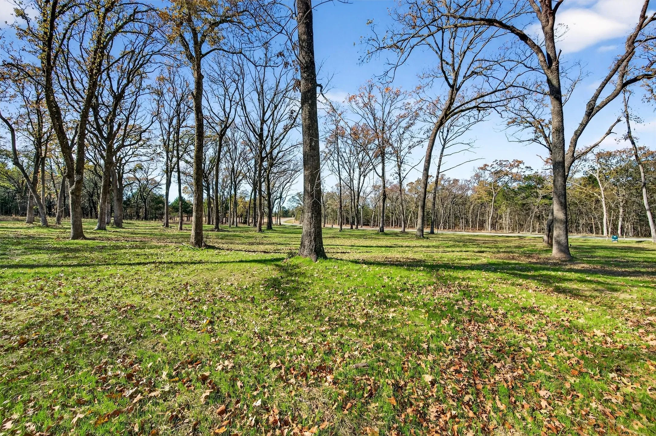 Unimproved Land For Sale in Grayson County , Lot 15 Buck Trail, Pottsboro, Texas 75076, 0, 0, Garage spaces, 0 Sqft, built in 0, mls#21132070, Real Estate Agent in Pottsboro, Homes For Sale in Grayson county, Homes For Sale in Pottsboro, Realtor in Pottsboro Texas, Real Estate Brokerage Independent Realty Texas, Luminita Cordes Realtor