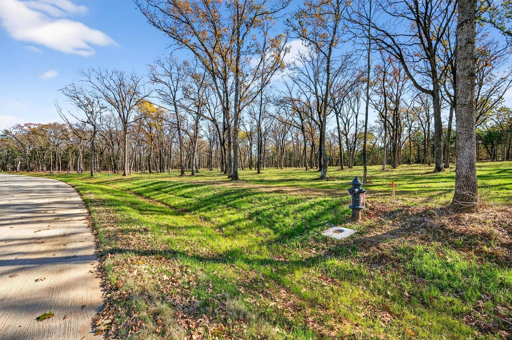 Unimproved Land For Sale in Grayson County , Lot 15 Buck Trail, Pottsboro, Texas 75076, 0, 0, Garage spaces, 0 Sqft, built in 0, mls#21132070, Real Estate Agent in Pottsboro, Homes For Sale in Grayson county, Homes For Sale in Pottsboro, Realtor in Pottsboro Texas, Real Estate Brokerage Independent Realty Texas, Luminita Cordes Realtor