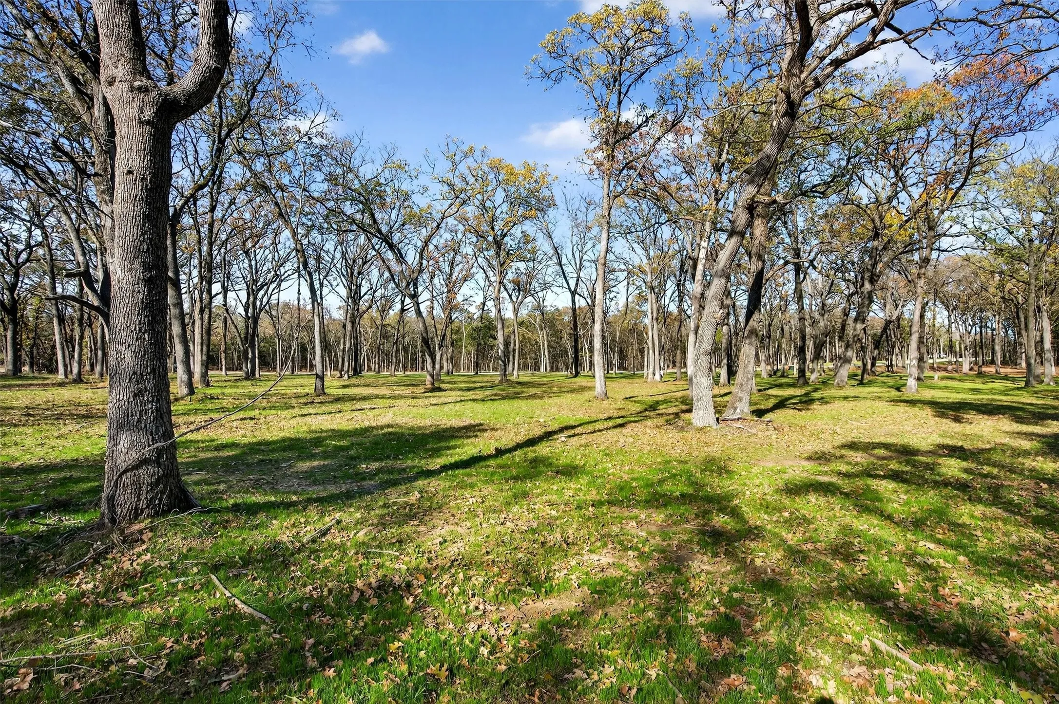 Unimproved Land For Sale in Grayson County , Lot 15 Buck Trail, Pottsboro, Texas 75076, 0, 0, Garage spaces, 0 Sqft, built in 0, mls#21132070, Real Estate Agent in Pottsboro, Homes For Sale in Grayson county, Homes For Sale in Pottsboro, Realtor in Pottsboro Texas, Real Estate Brokerage Independent Realty Texas, Luminita Cordes Realtor