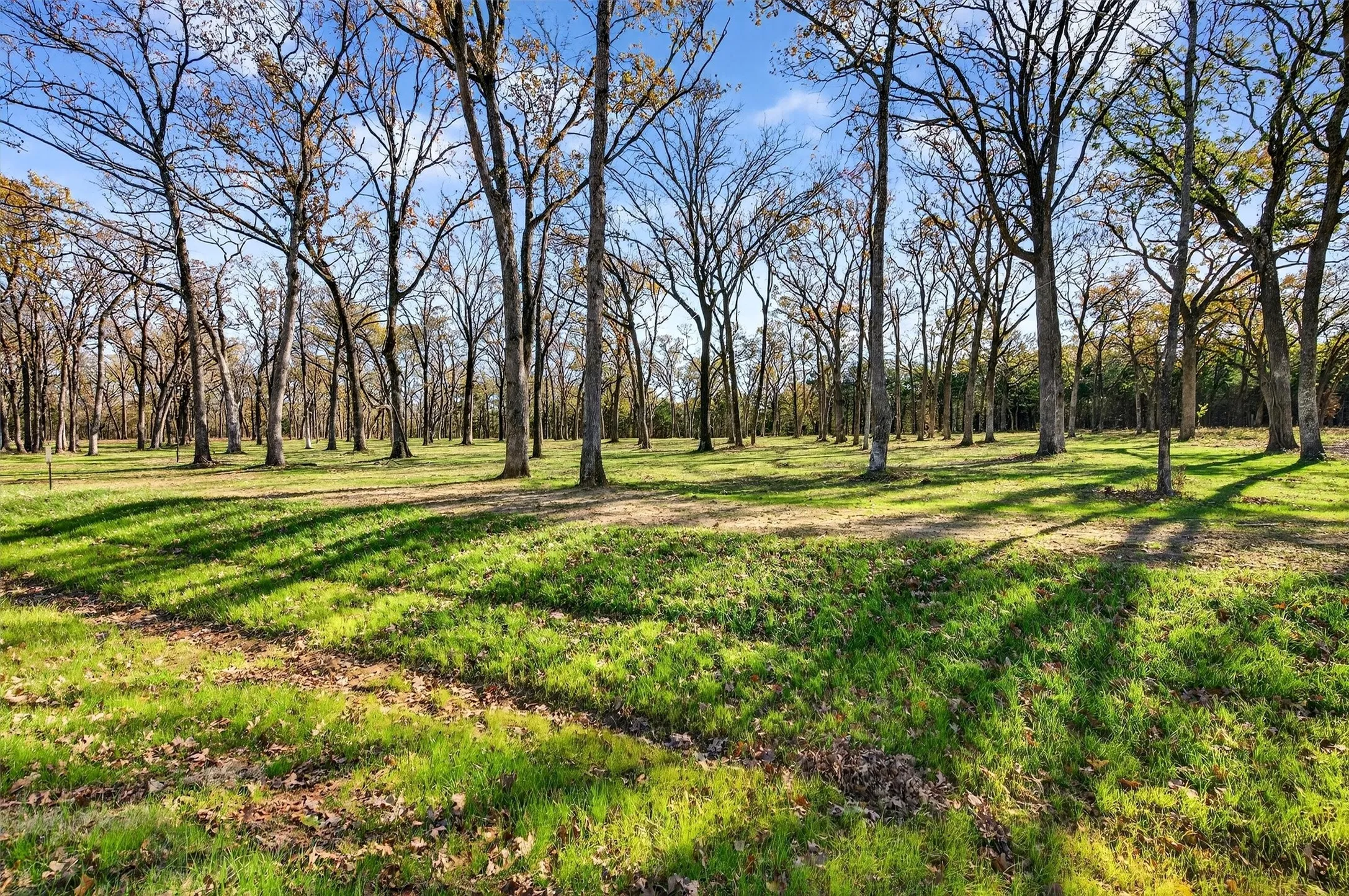 Unimproved Land For Sale in Grayson County , Lot 15 Buck Trail, Pottsboro, Texas 75076, 0, 0, Garage spaces, 0 Sqft, built in 0, mls#21132070, Real Estate Agent in Pottsboro, Homes For Sale in Grayson county, Homes For Sale in Pottsboro, Realtor in Pottsboro Texas, Real Estate Brokerage Independent Realty Texas, Luminita Cordes Realtor