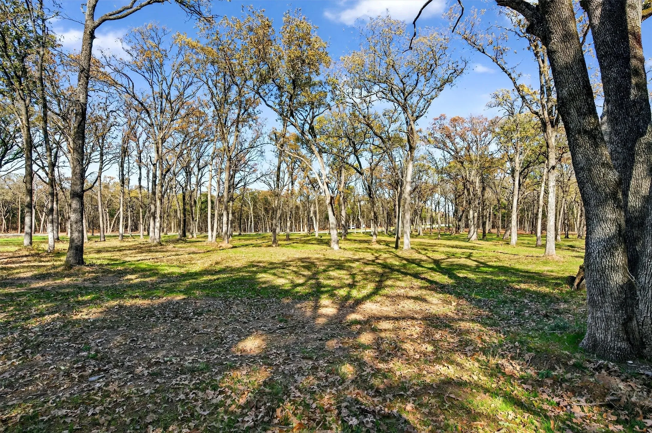 Unimproved Land For Sale in Grayson County , Lot 15 Buck Trail, Pottsboro, Texas 75076, 0, 0, Garage spaces, 0 Sqft, built in 0, mls#21132070, Real Estate Agent in Pottsboro, Homes For Sale in Grayson county, Homes For Sale in Pottsboro, Realtor in Pottsboro Texas, Real Estate Brokerage Independent Realty Texas, Luminita Cordes Realtor