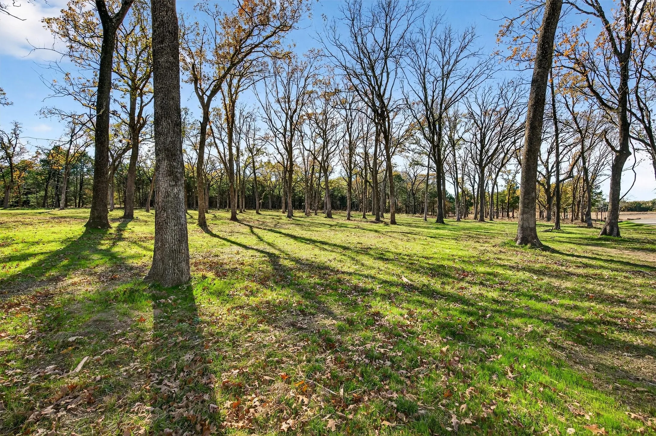 Unimproved Land For Sale in Grayson County , Lot 15 Buck Trail, Pottsboro, Texas 75076, 0, 0, Garage spaces, 0 Sqft, built in 0, mls#21132070, Real Estate Agent in Pottsboro, Homes For Sale in Grayson county, Homes For Sale in Pottsboro, Realtor in Pottsboro Texas, Real Estate Brokerage Independent Realty Texas, Luminita Cordes Realtor