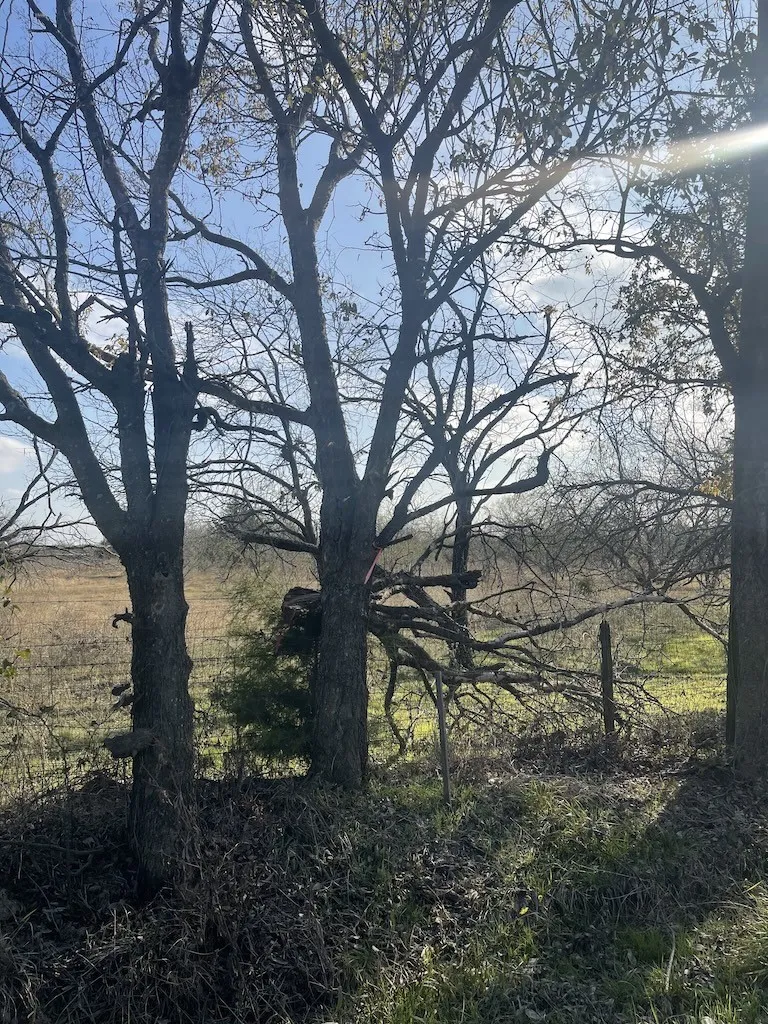 Ranch For Sale in Navarro County , 3175 County Road 1110, Corsicana, Texas 75110, 0, 0, Garage spaces, 0 Sqft, built in 0, mls#21132216, Real Estate Agent in Corsicana, Homes For Sale in Navarro county, Homes For Sale in Corsicana, Realtor in Corsicana Texas, Real Estate Brokerage Independent Realty Texas, Luminita Cordes Realtor
