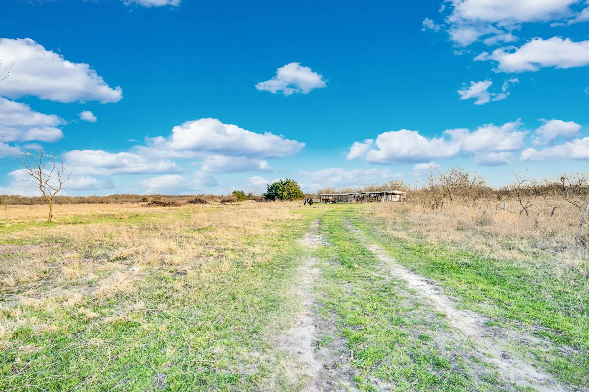 Ranch For Sale in Navarro County , 3175 County Road 1110, Corsicana, Texas 75110, 0, 0, Garage spaces, 0 Sqft, built in 0, mls#21132216, Real Estate Agent in Corsicana, Homes For Sale in Navarro county, Homes For Sale in Corsicana, Realtor in Corsicana Texas, Real Estate Brokerage Independent Realty Texas, Luminita Cordes Realtor