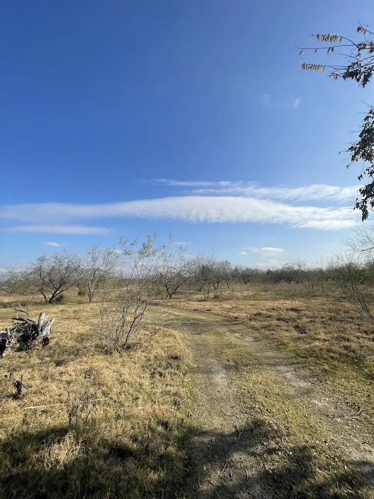 Ranch For Sale in Navarro County , 3175 County Road 1110, Corsicana, Texas 75110, 0, 0, Garage spaces, 0 Sqft, built in 0, mls#21132216, Real Estate Agent in Corsicana, Homes For Sale in Navarro county, Homes For Sale in Corsicana, Realtor in Corsicana Texas, Real Estate Brokerage Independent Realty Texas, Luminita Cordes Realtor